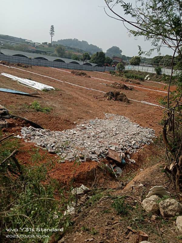 广州北约露营地