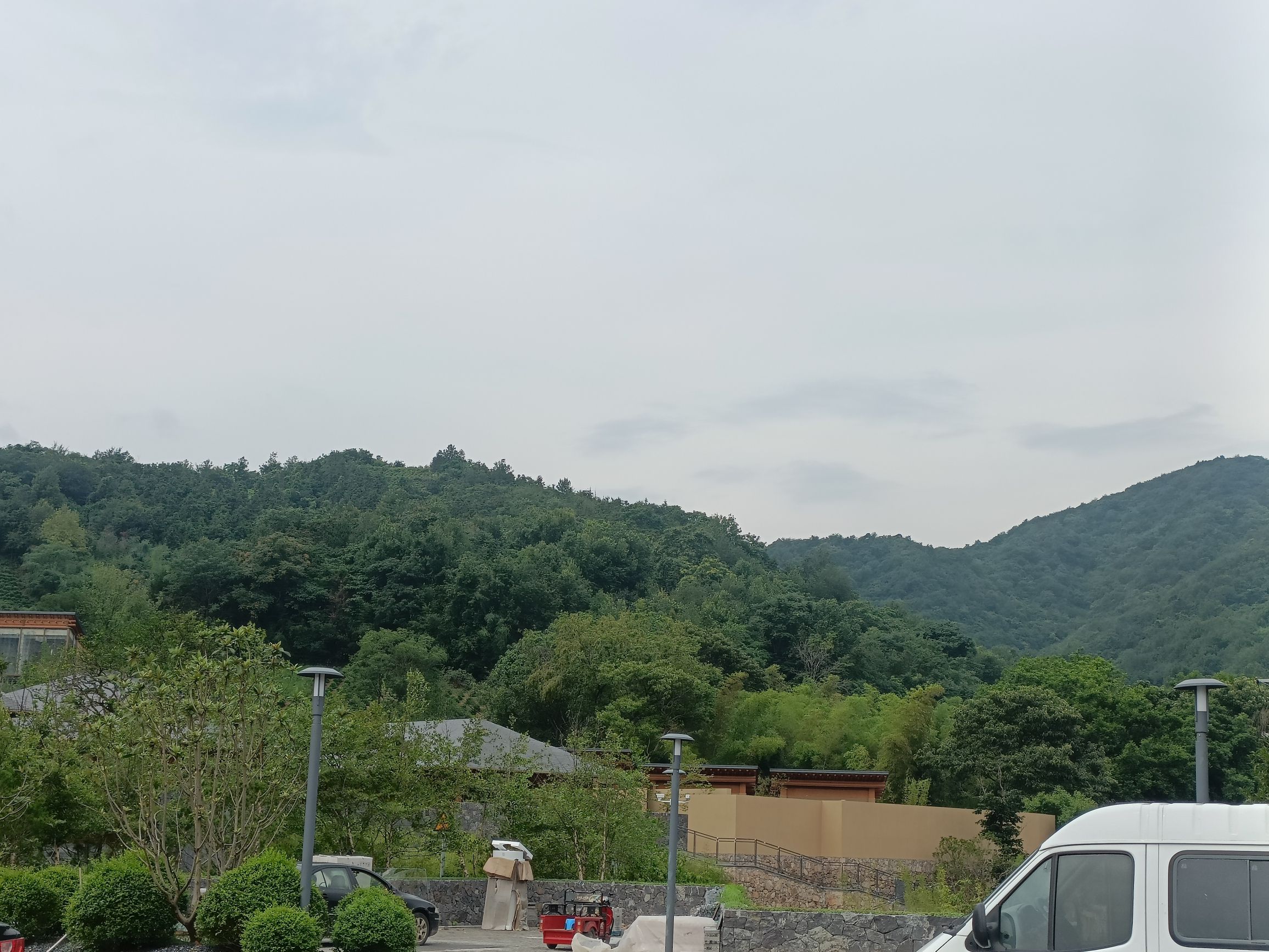 长冲村夫妻树旅行图片 1