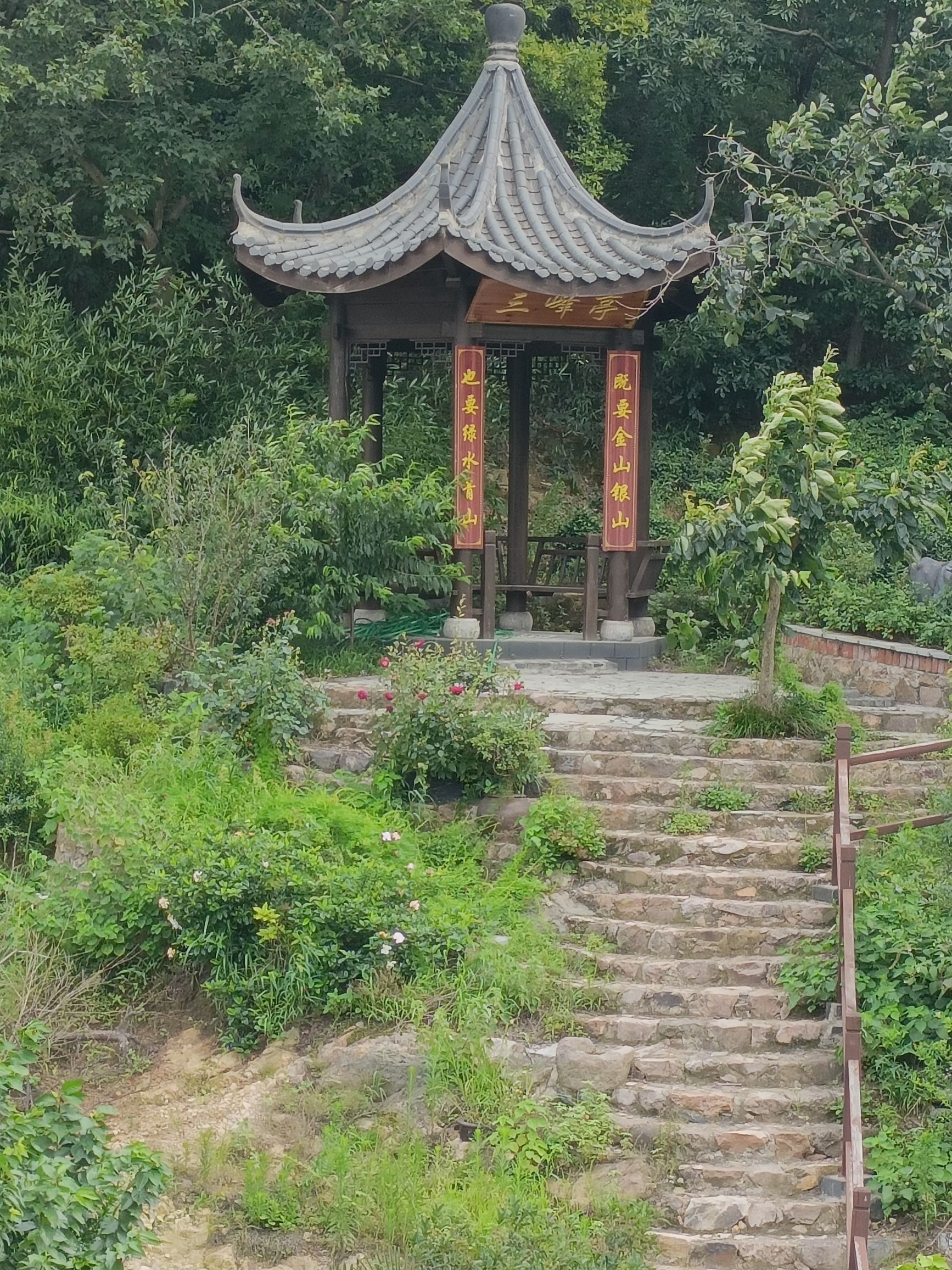 长冲村夫妻树旅行图片 2