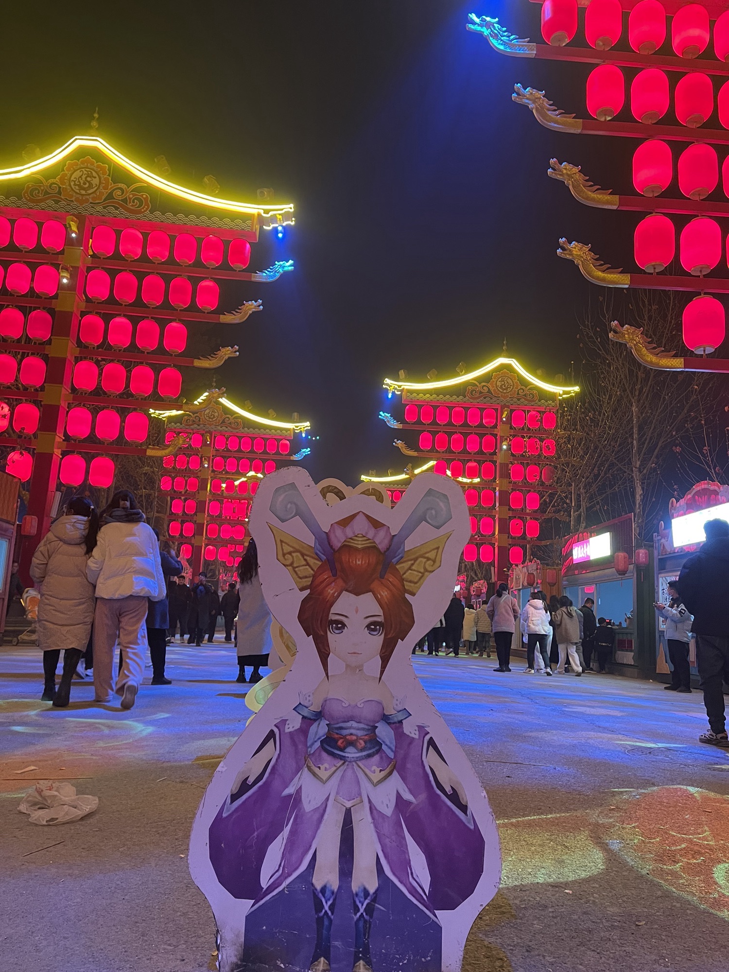 赵王欢乐不夜城旅行图片 3