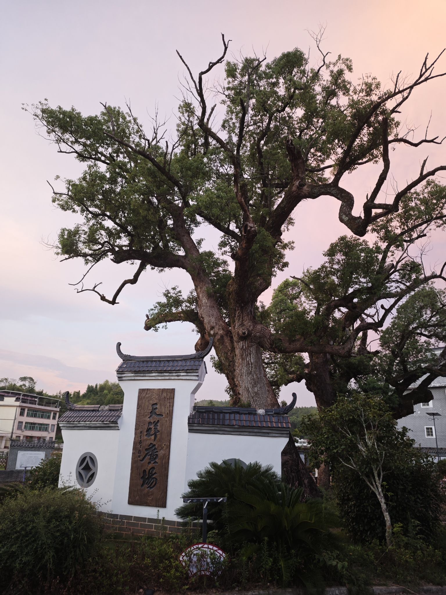 澄江古建筑群红军标语-谭氏宗祠旅行图片 3