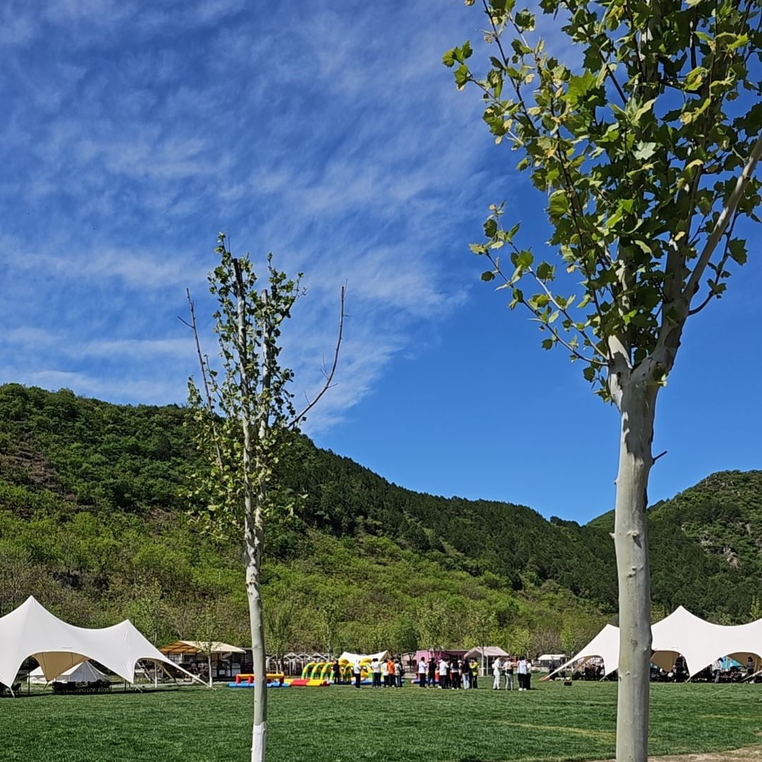 场地封面-渡野·Village休闲露营地.轻奢帐篷.烧烤.团建