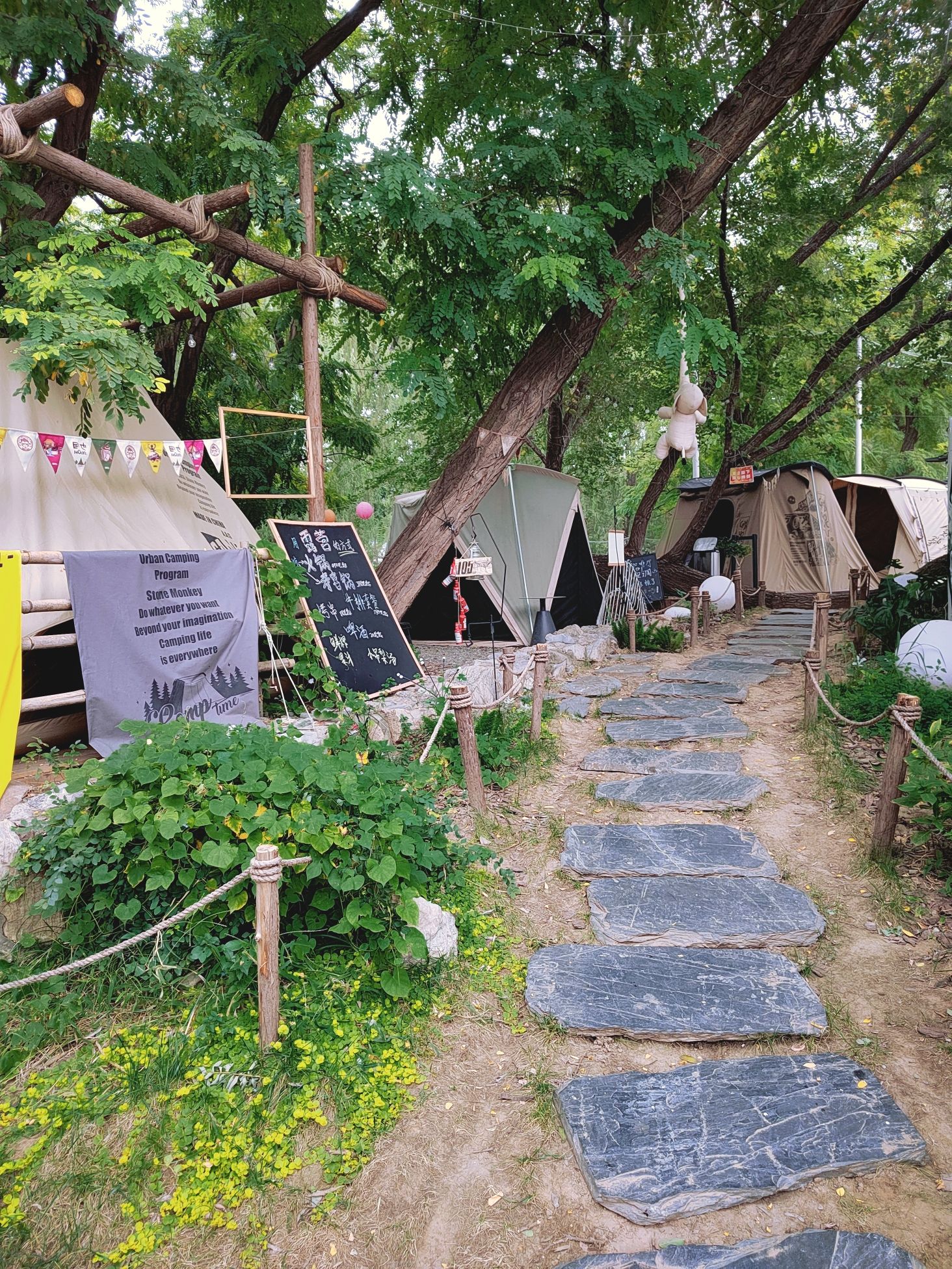 场地封面-目也MOOYE城市露营计划