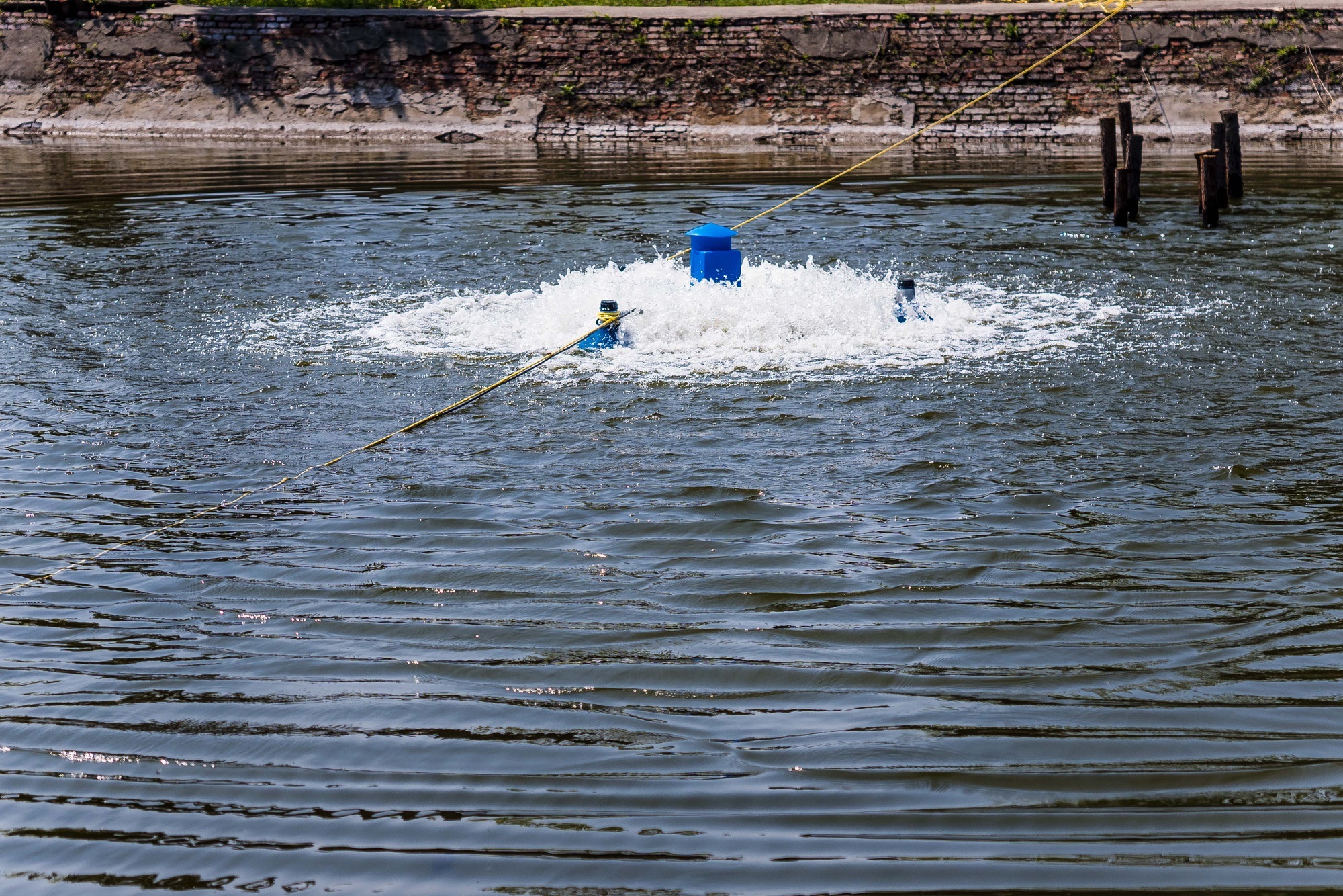 闪电路亚基地(露营烧烤)