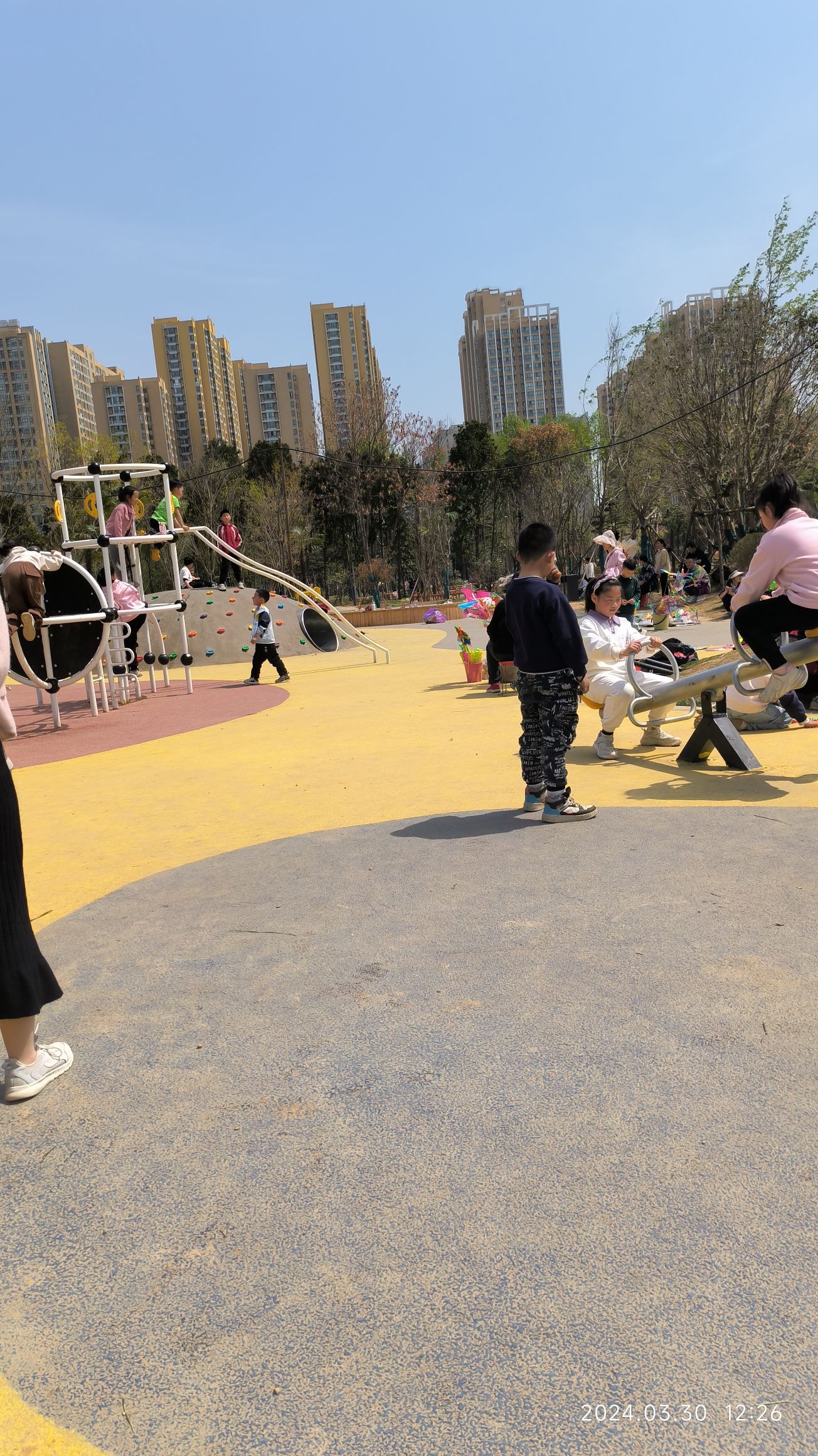 申伯公园旅行图片 3