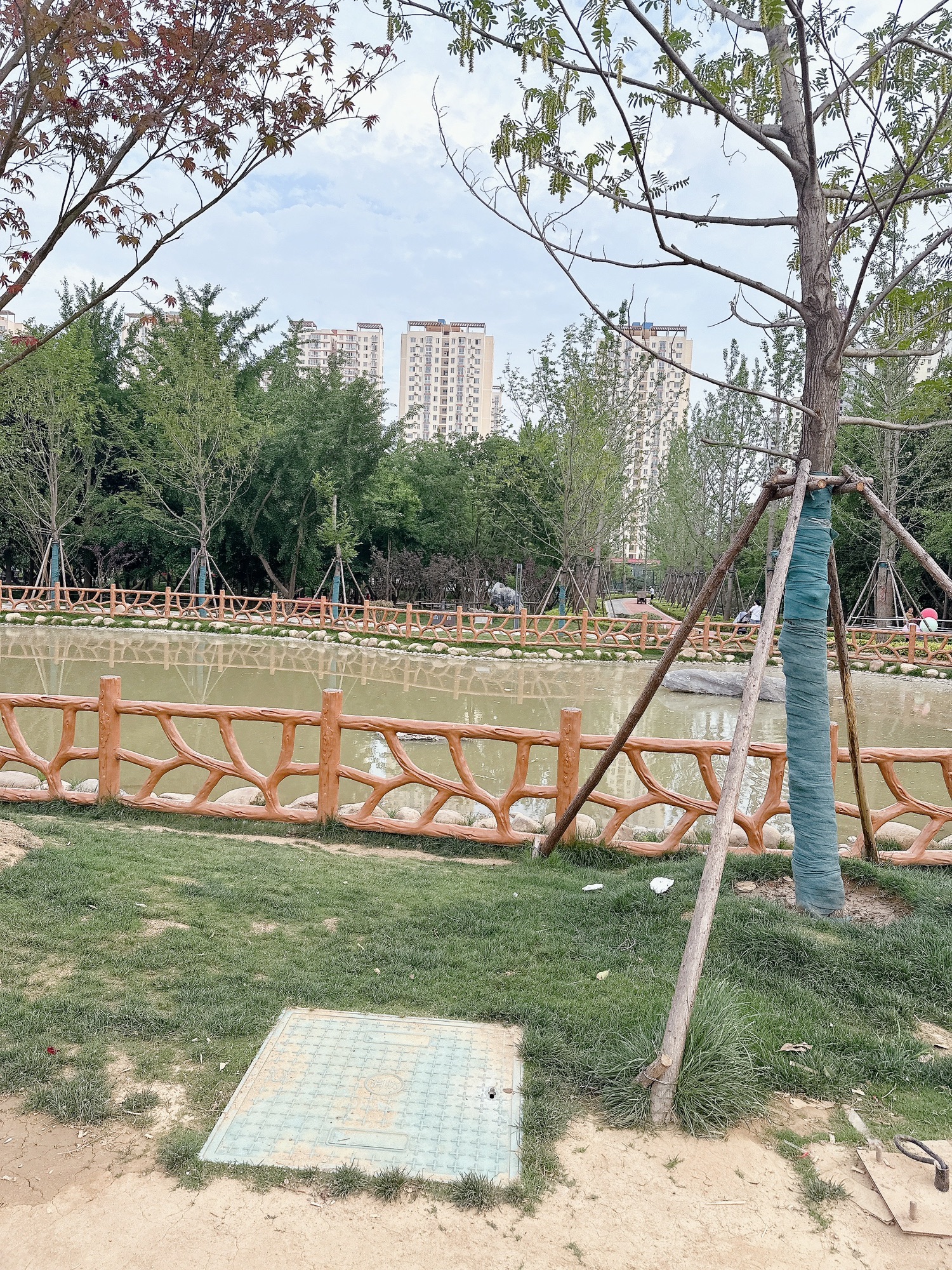 申伯公园旅行图片 3