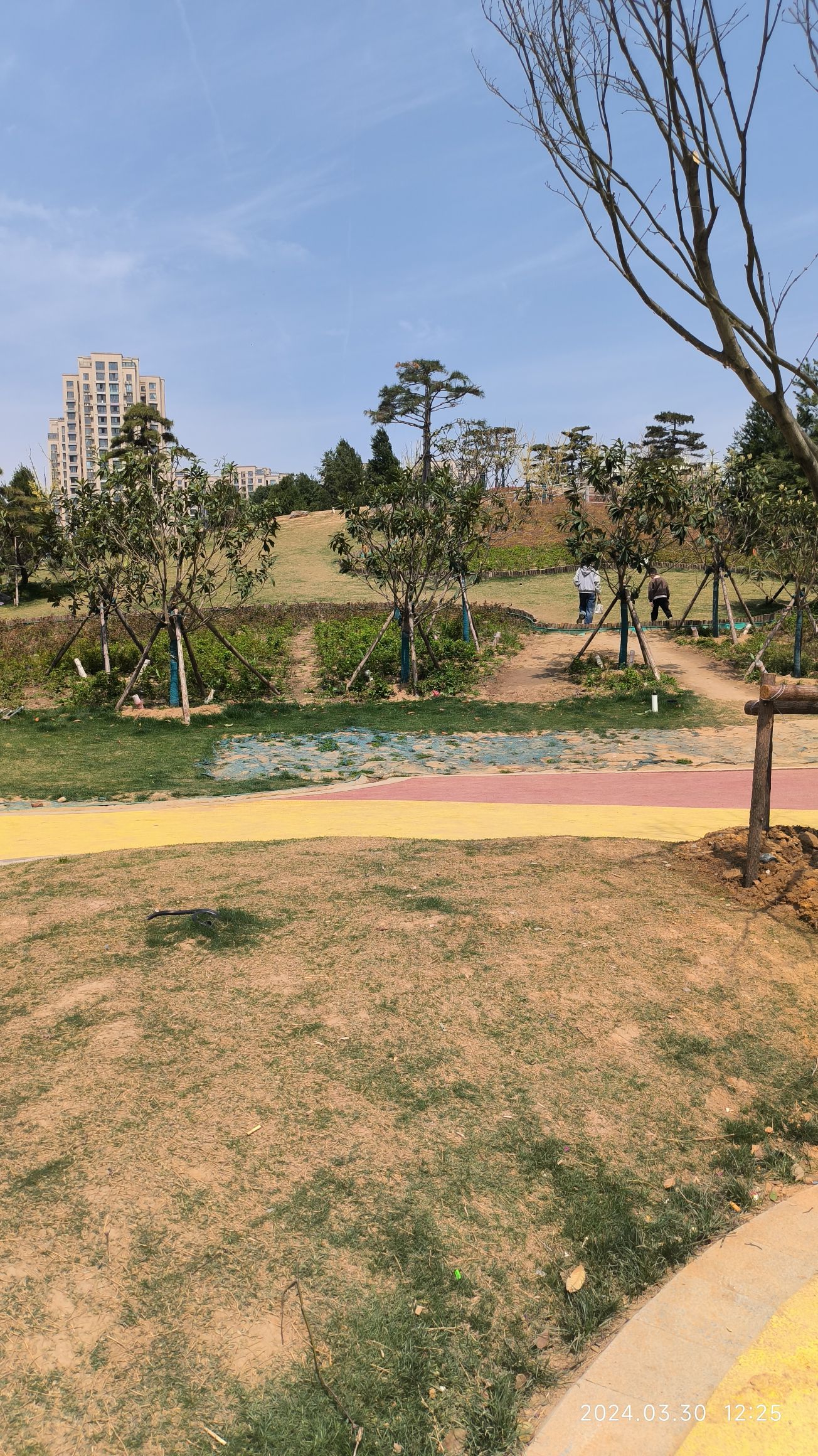 申伯公园旅行图片 1