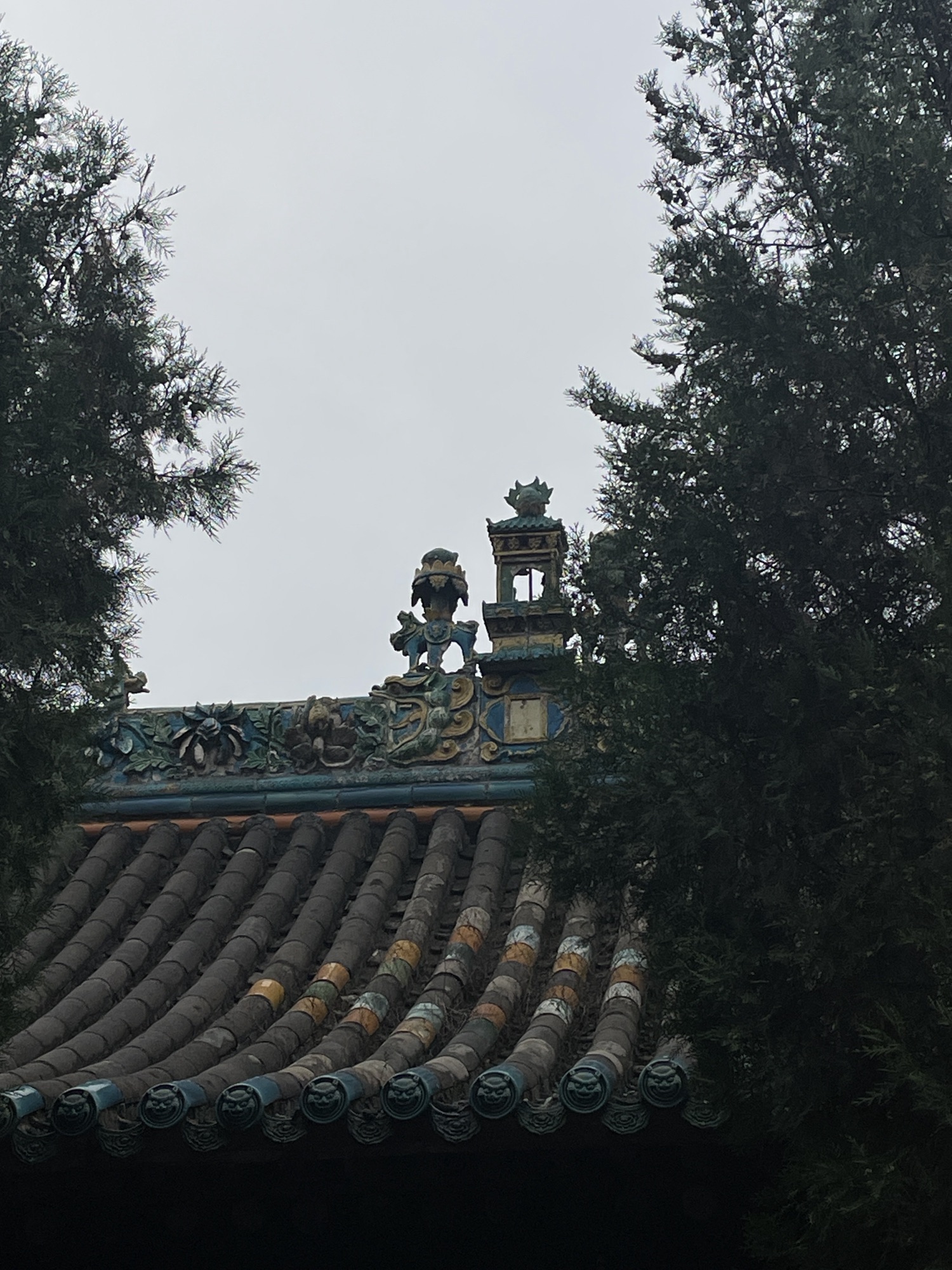 酎泉寺旅行图片 2