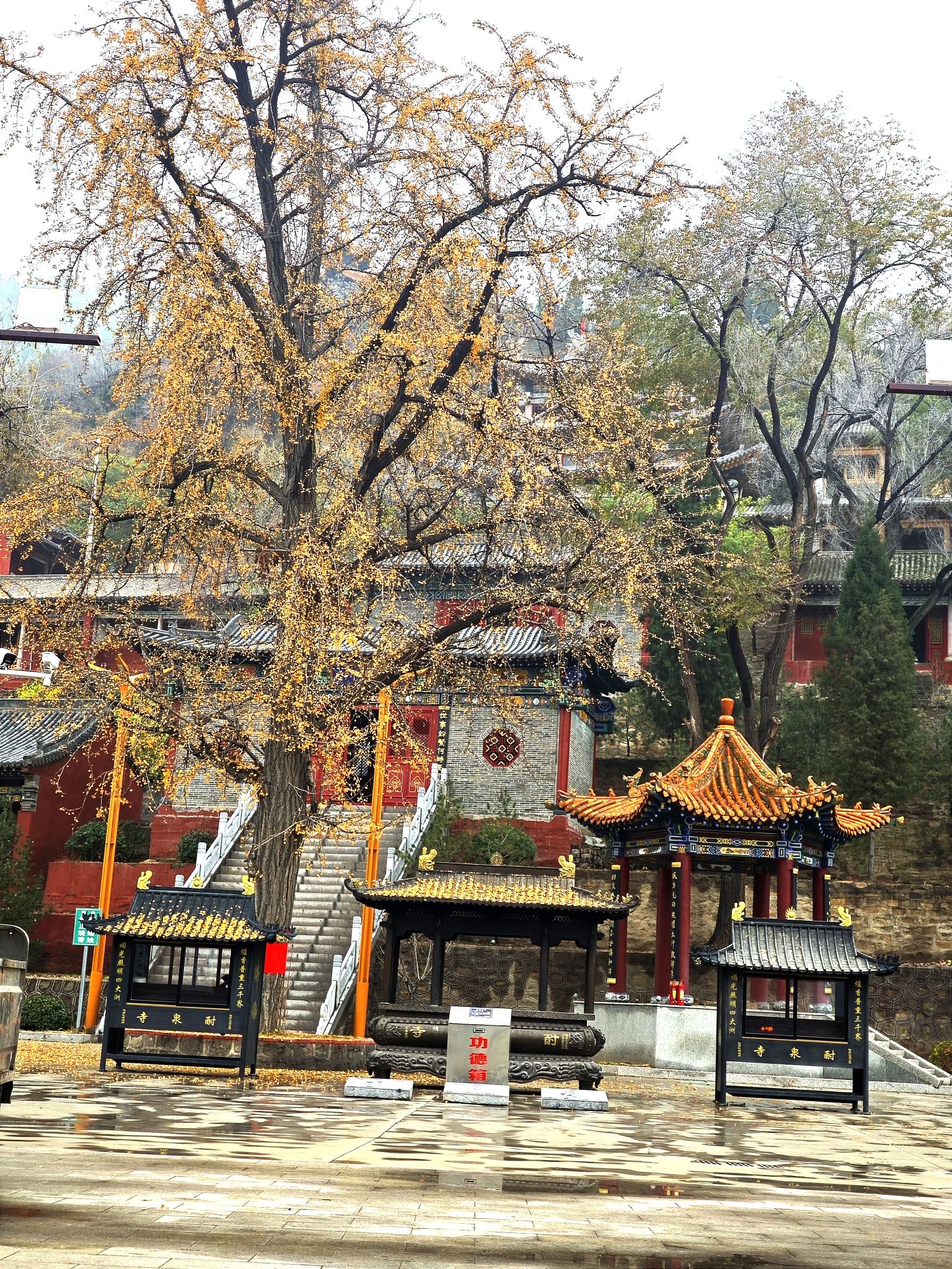 酎泉寺旅行图片 2