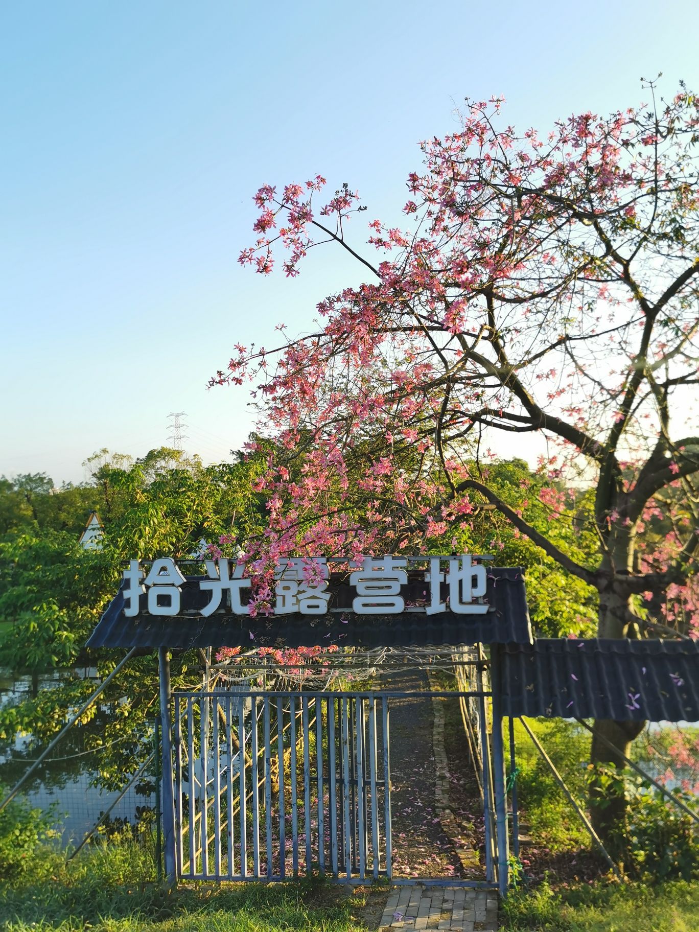 场地封面-东涌拾光露营地