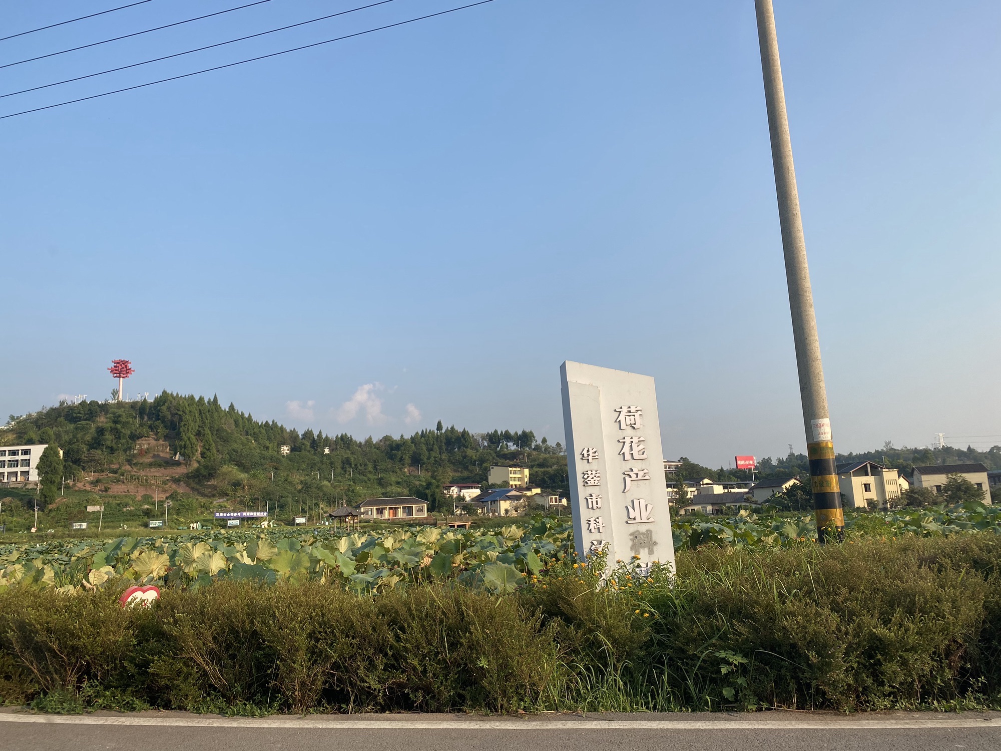 荷月江岸旅行图片 1