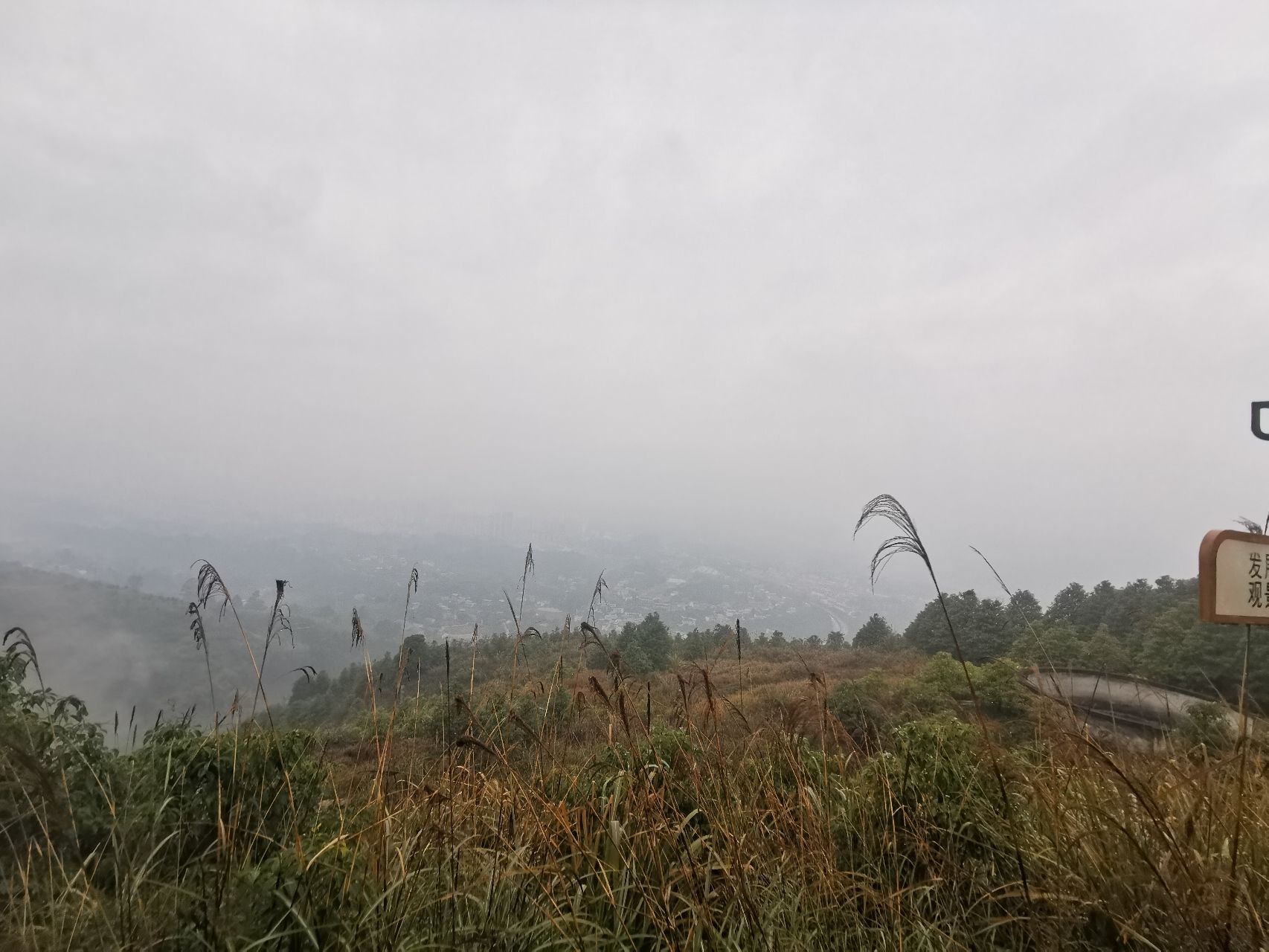 荷月江岸旅行图片 3