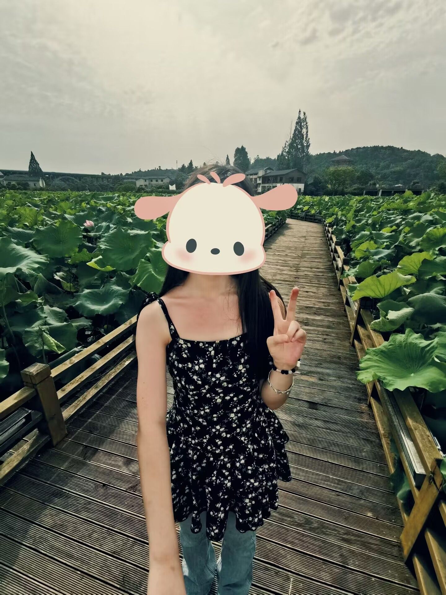 荷月江岸旅行图片 1