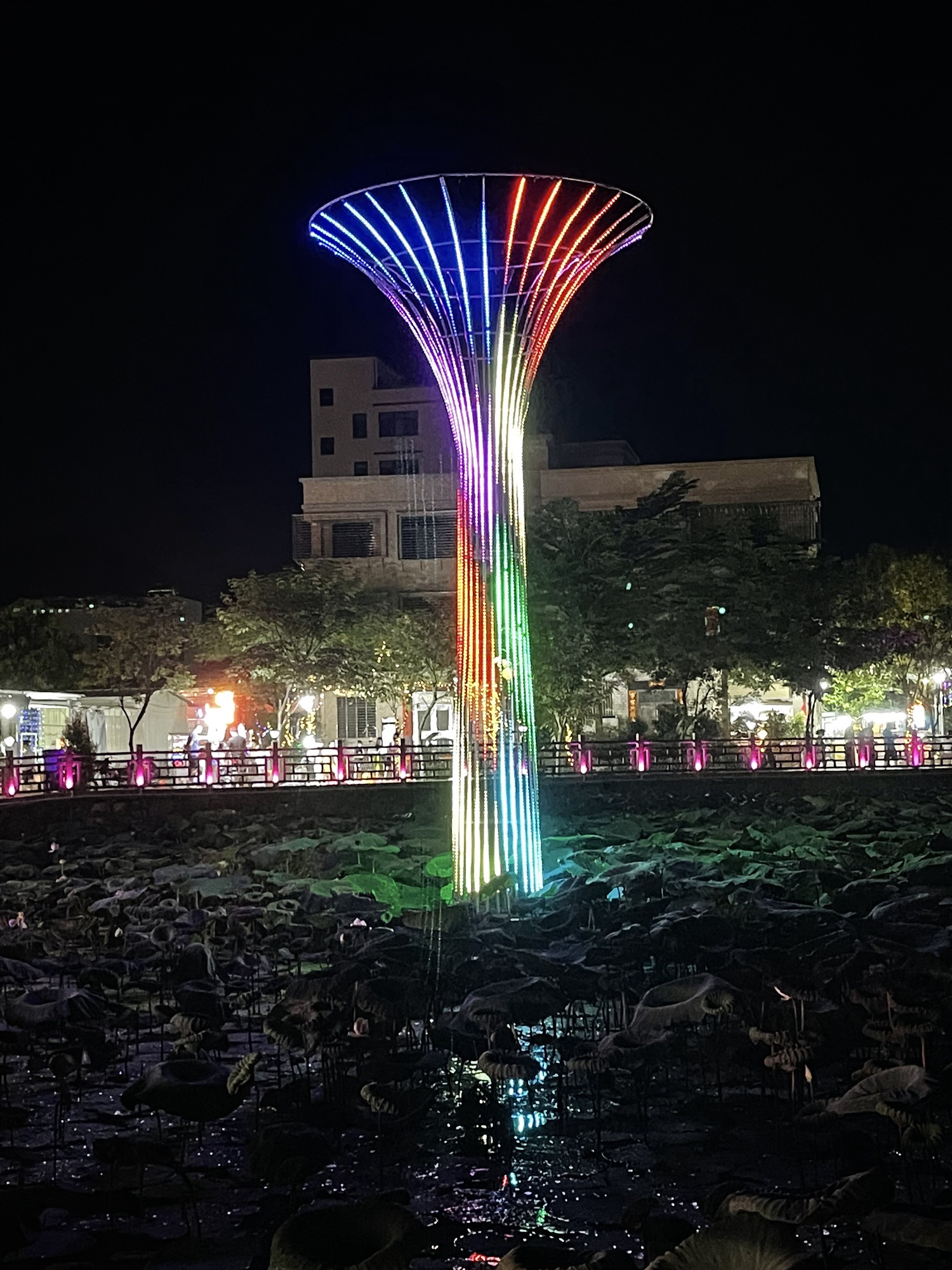 高厝塘湿地公园旅行图片 2