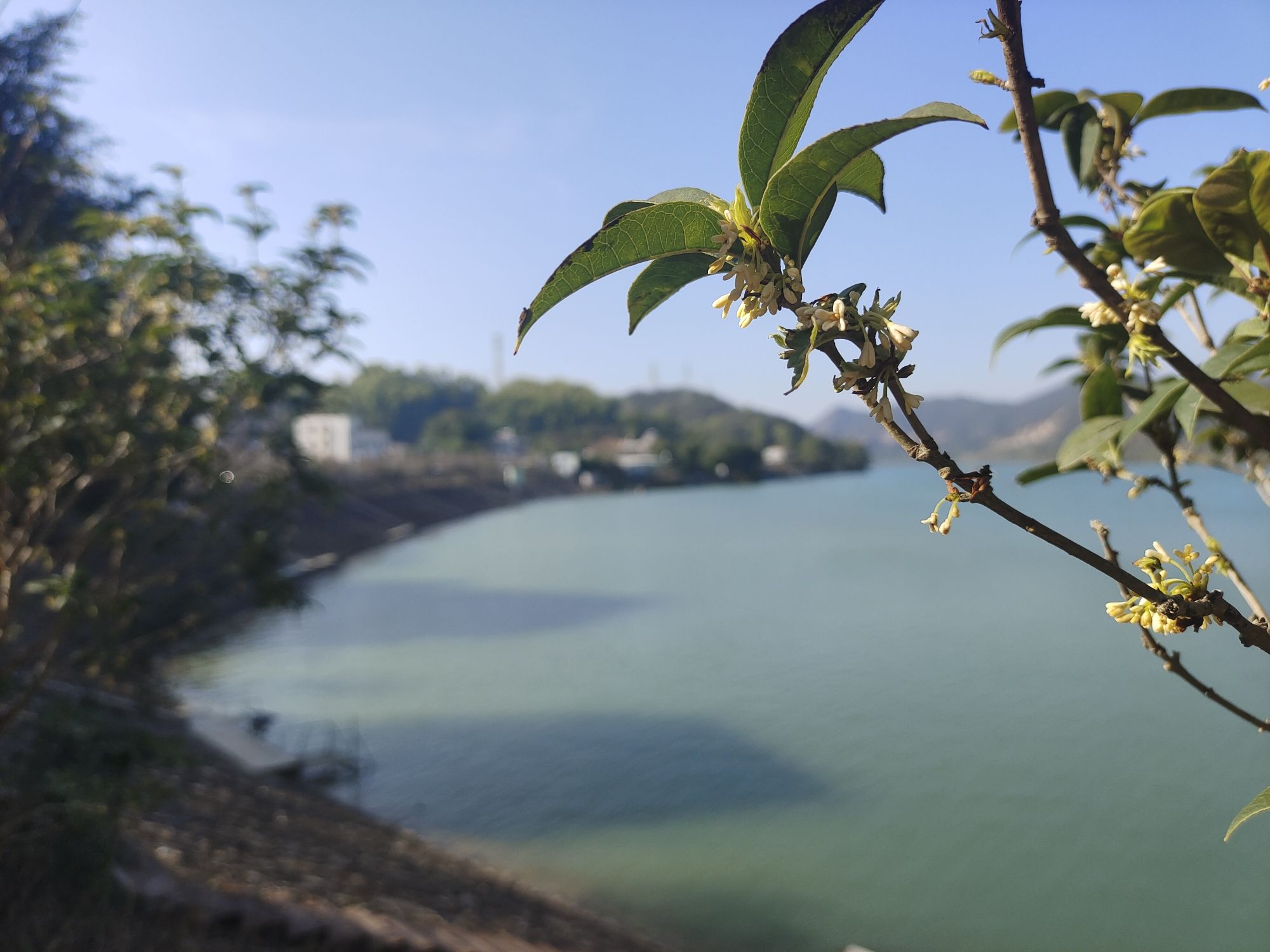 高厝塘湿地公园旅行图片 1