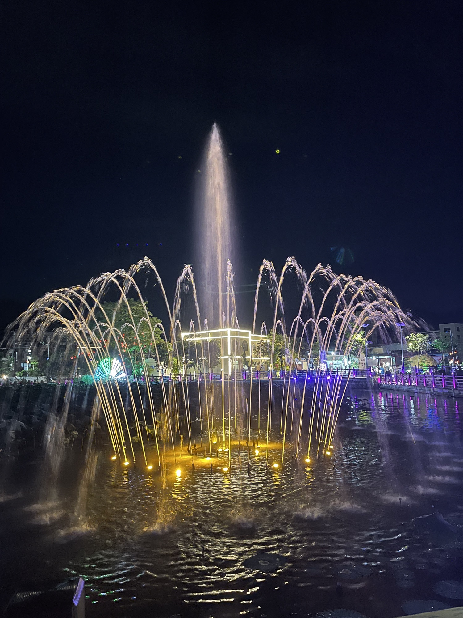 高厝塘湿地公园旅行图片 3