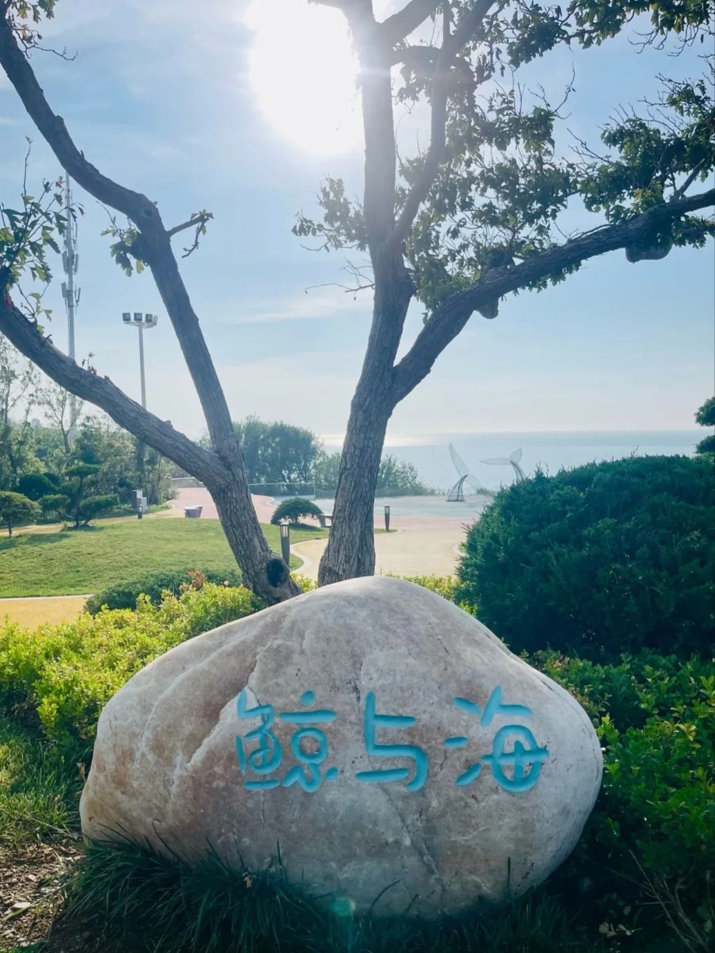 泊霞湾公园旅行图片 3