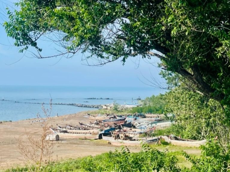 泊霞湾公园旅行图片 2