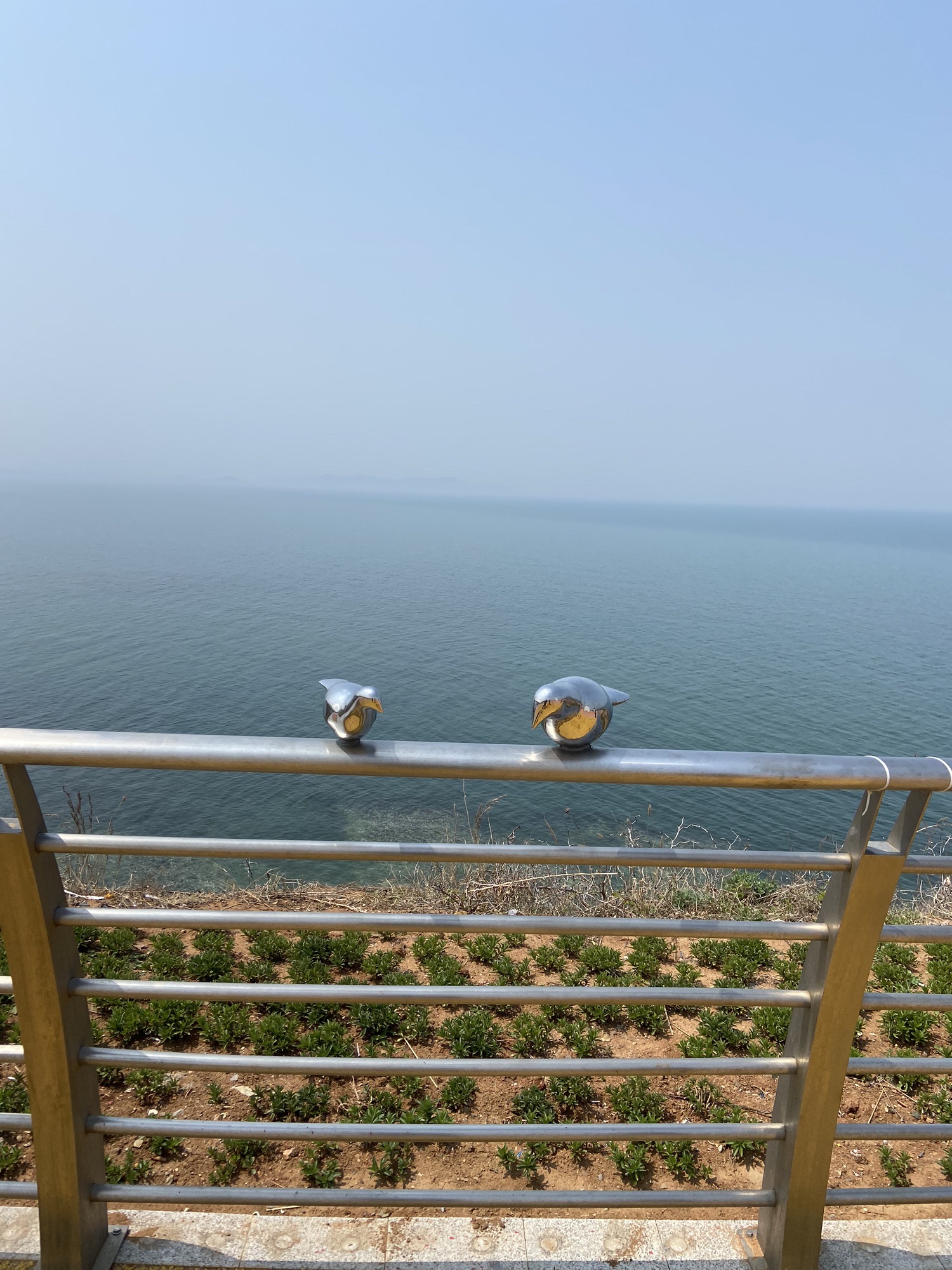 泊霞湾公园旅行图片 3