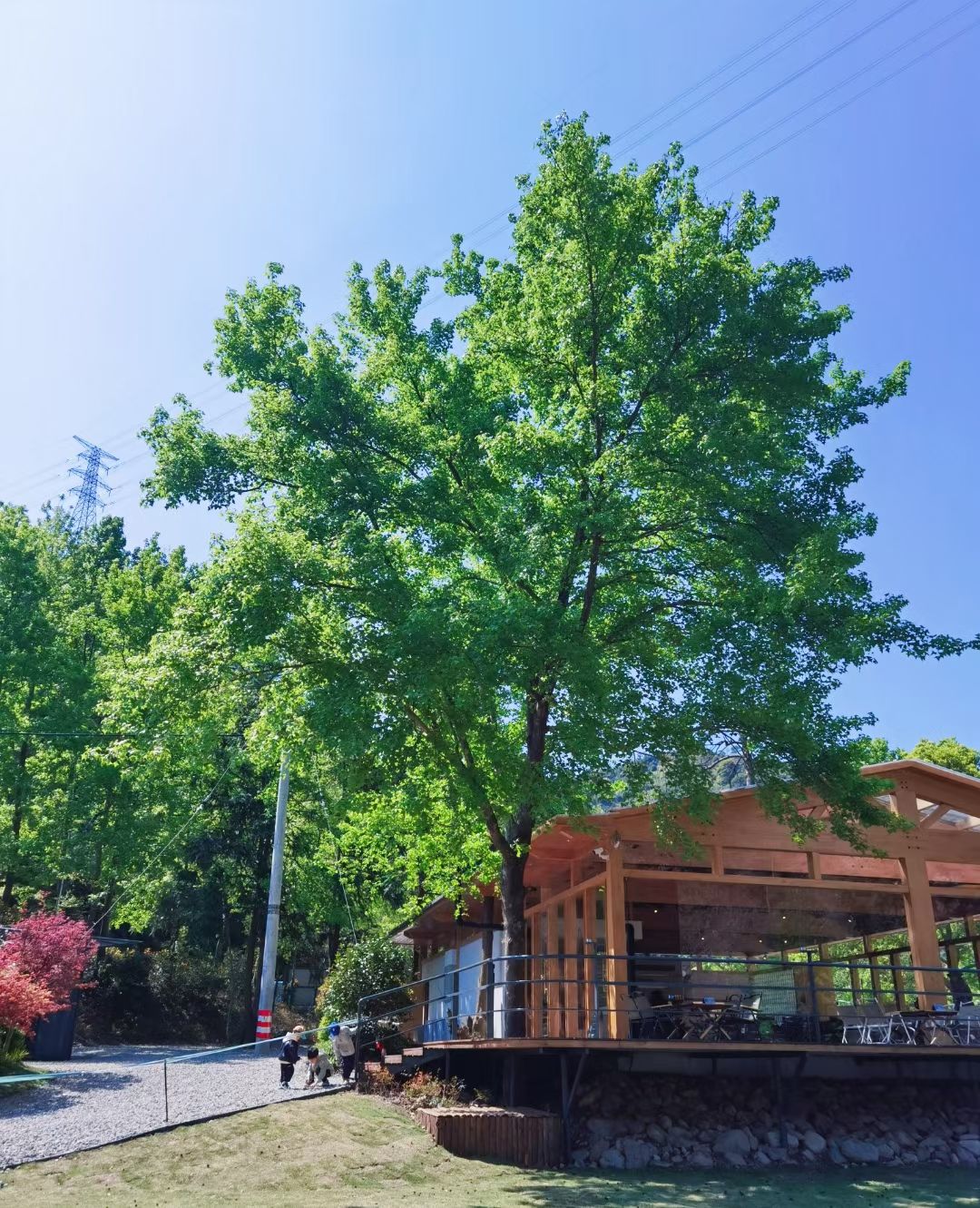GOYA在野·千年松溪谷营地