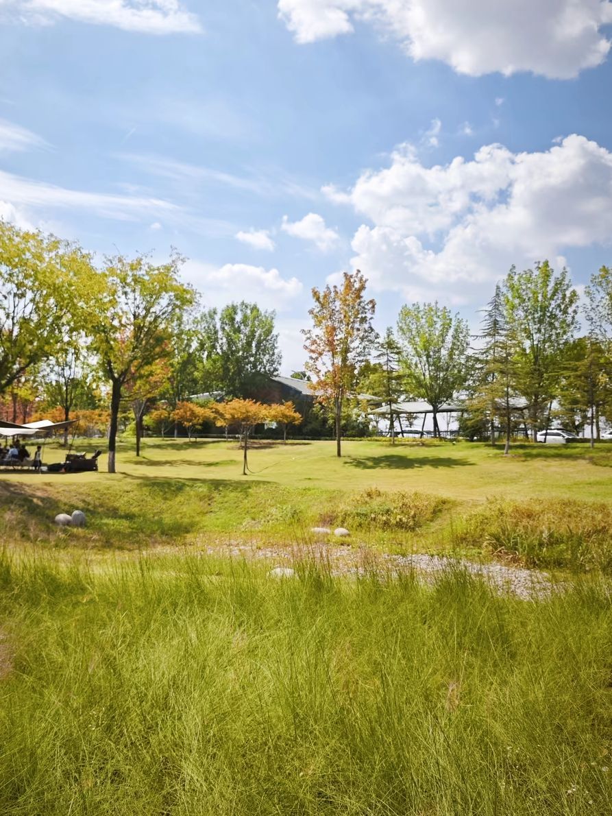 场地封面-GoDayPark浐灞自然营地(暂停营业)