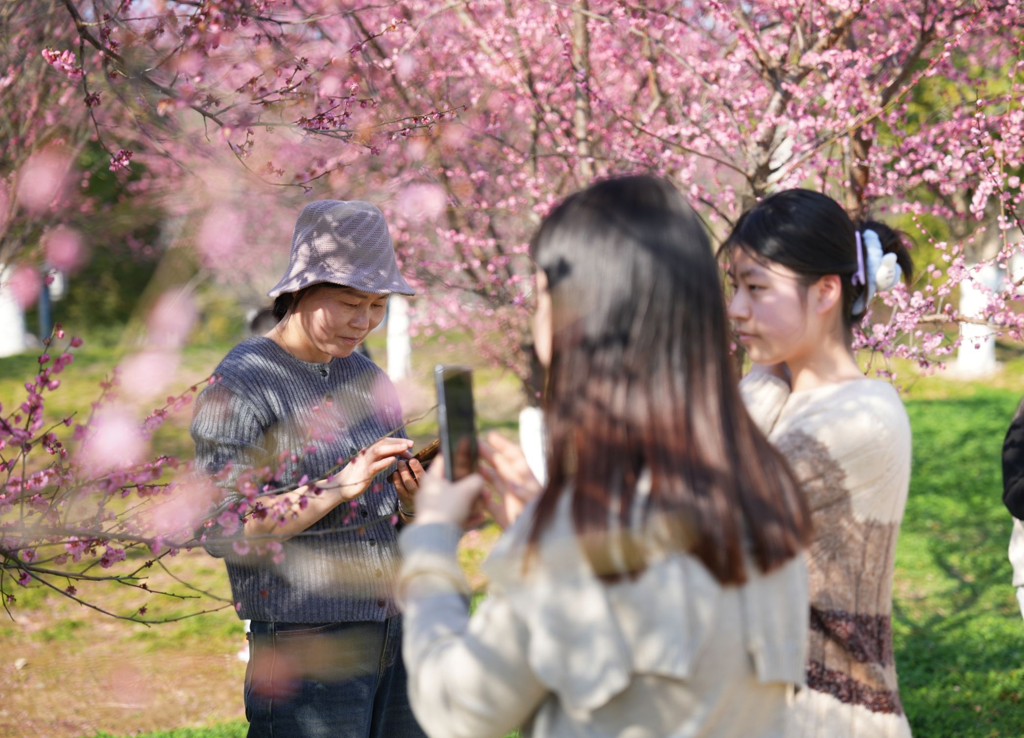 塔山公园旅行图片 2