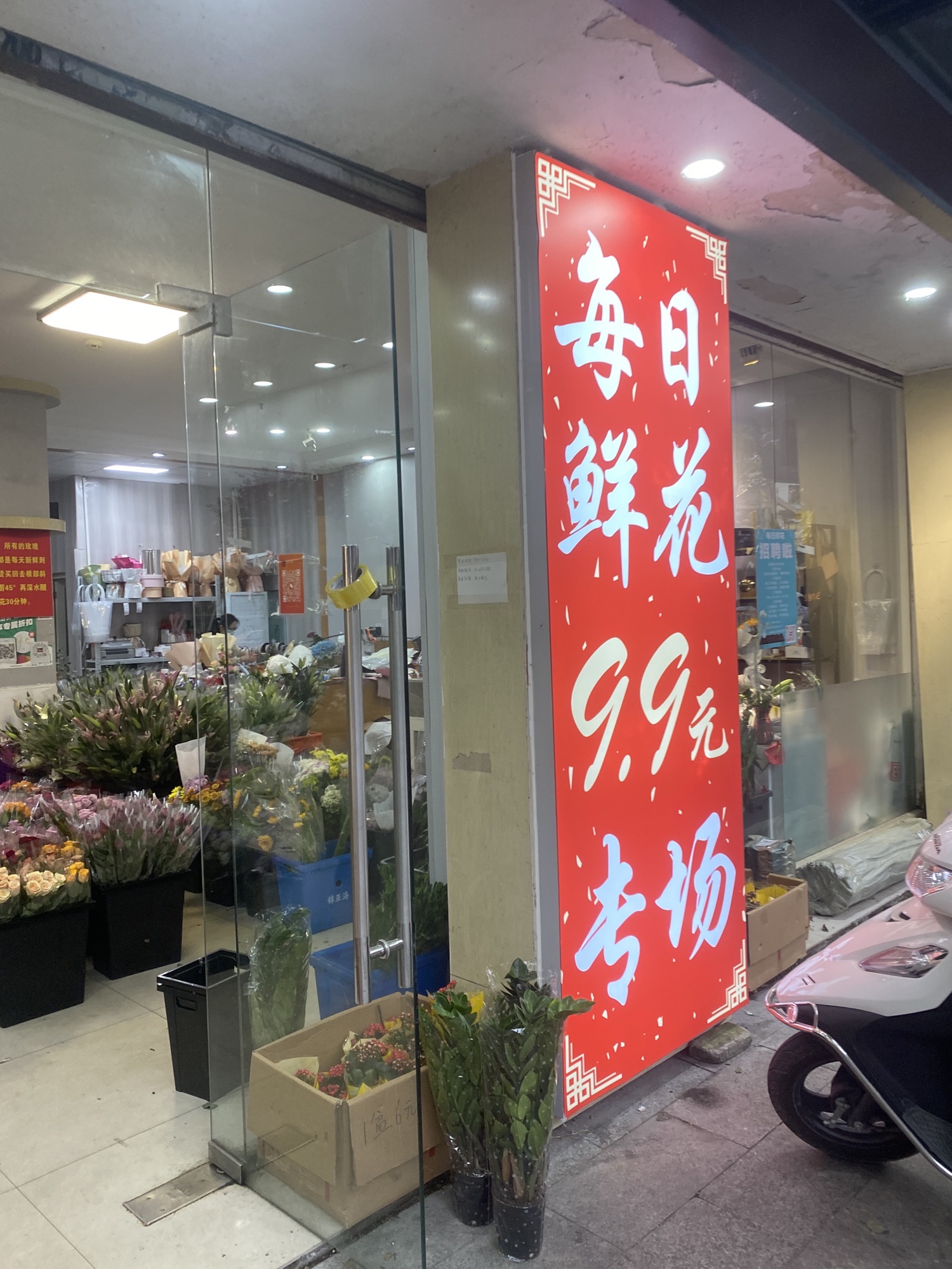 每日鲜花