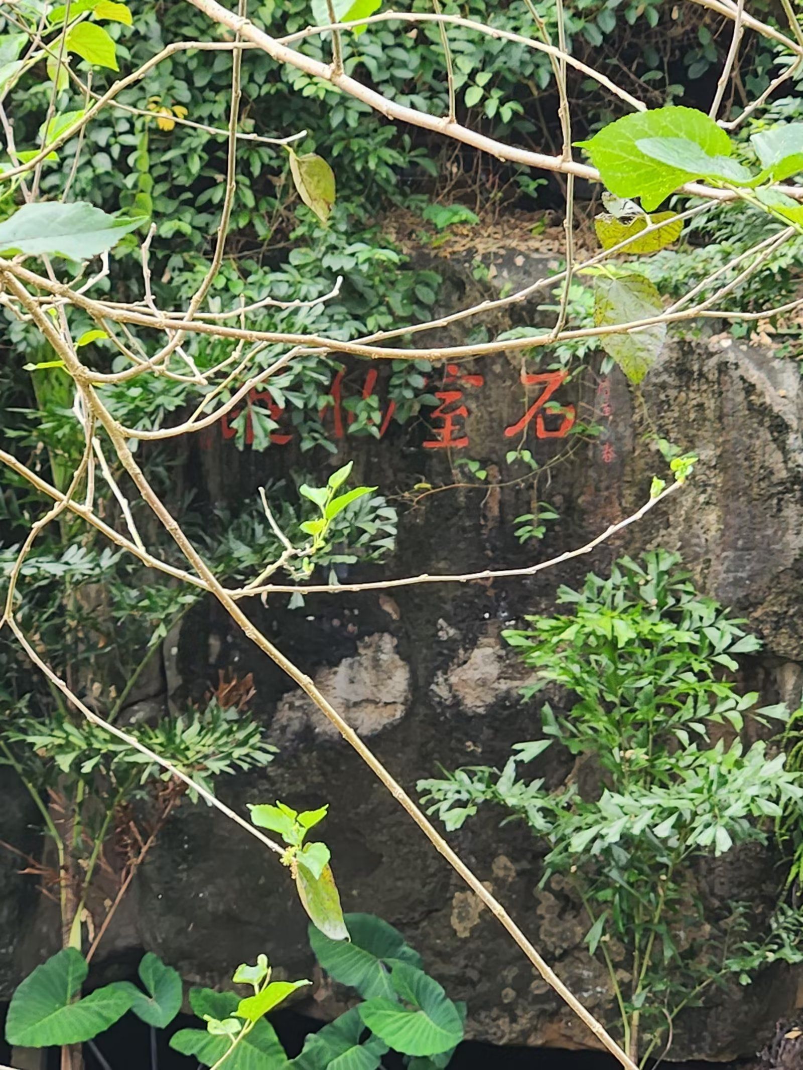 石室仙踪摩崖石刻旅行图片 2
