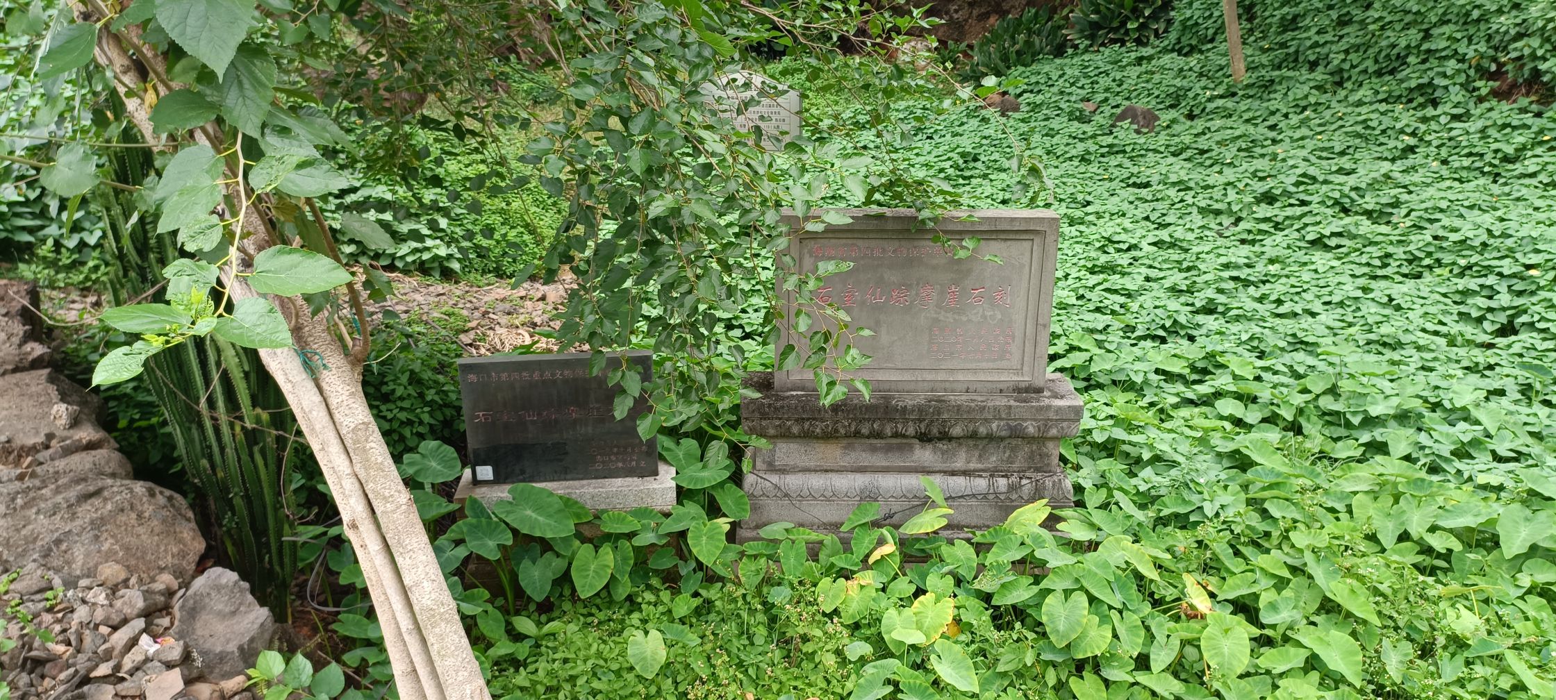 石室仙踪摩崖石刻旅行图片 2