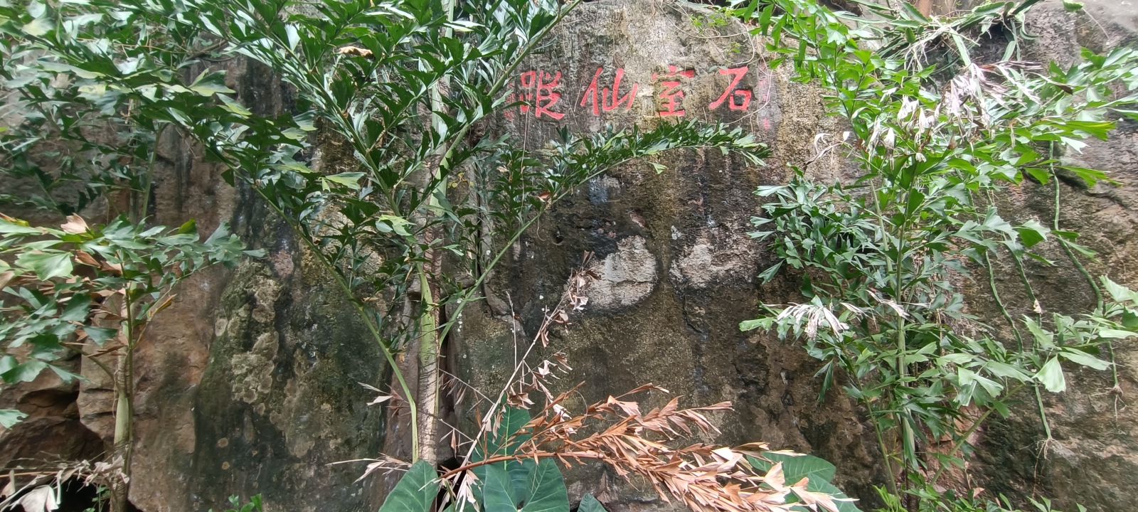 石室仙踪摩崖石刻旅行图片 1