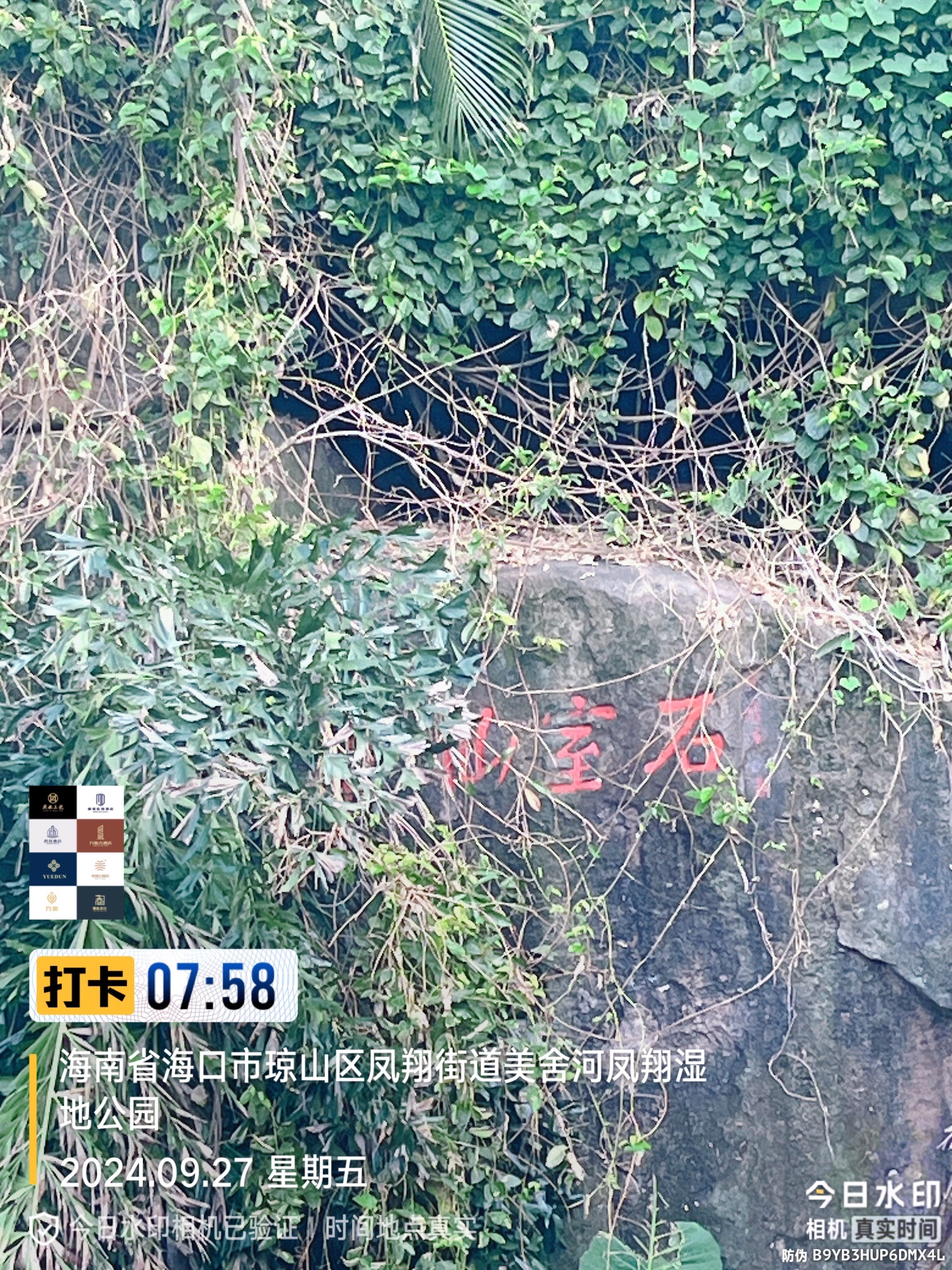 石室仙踪摩崖石刻旅行图片 1