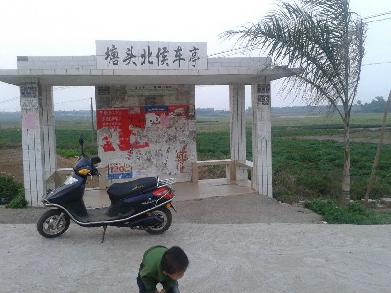塘头村爱心公园旅行图片 1