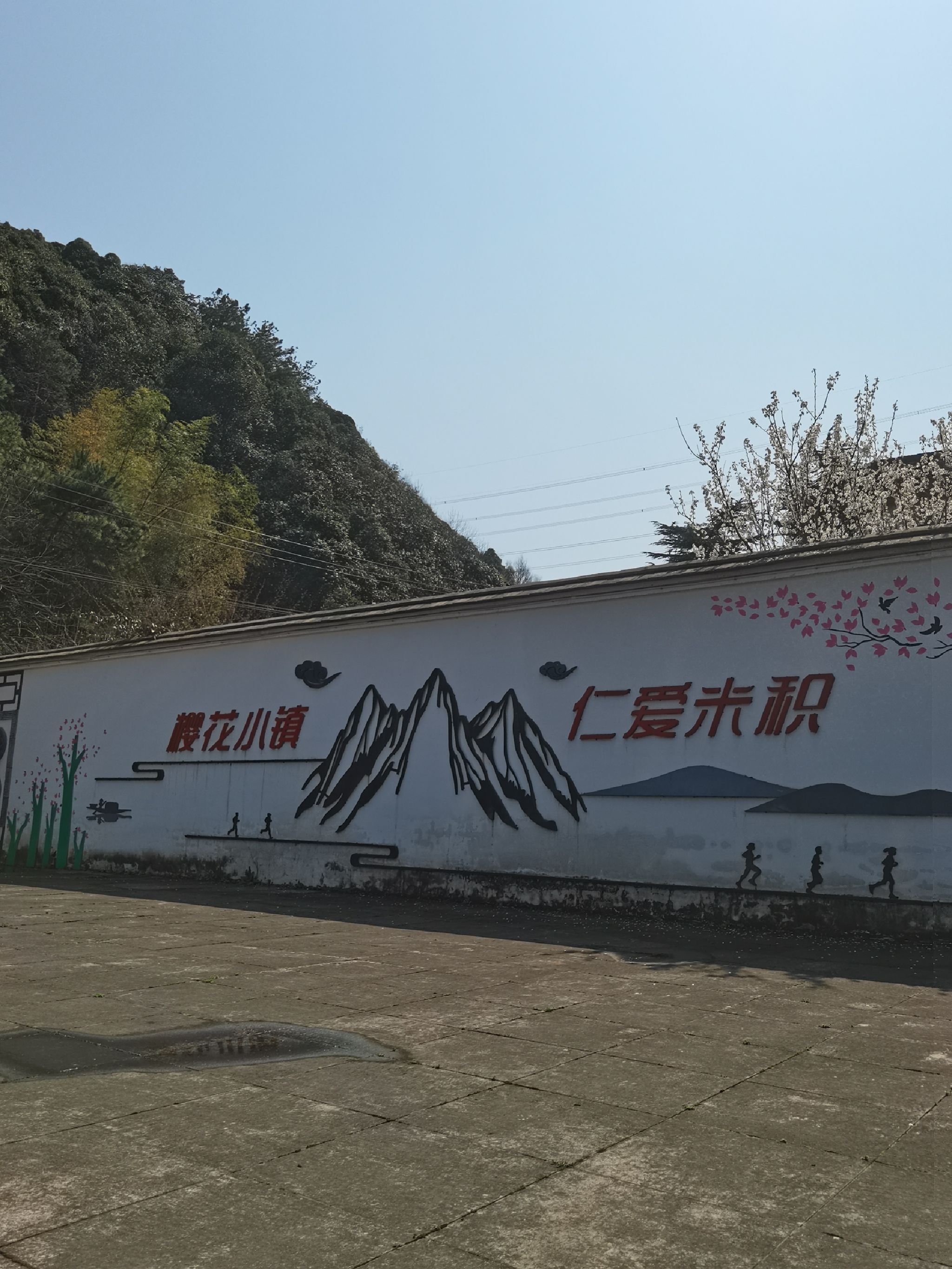 米积樱花小镇旅行图片 1
