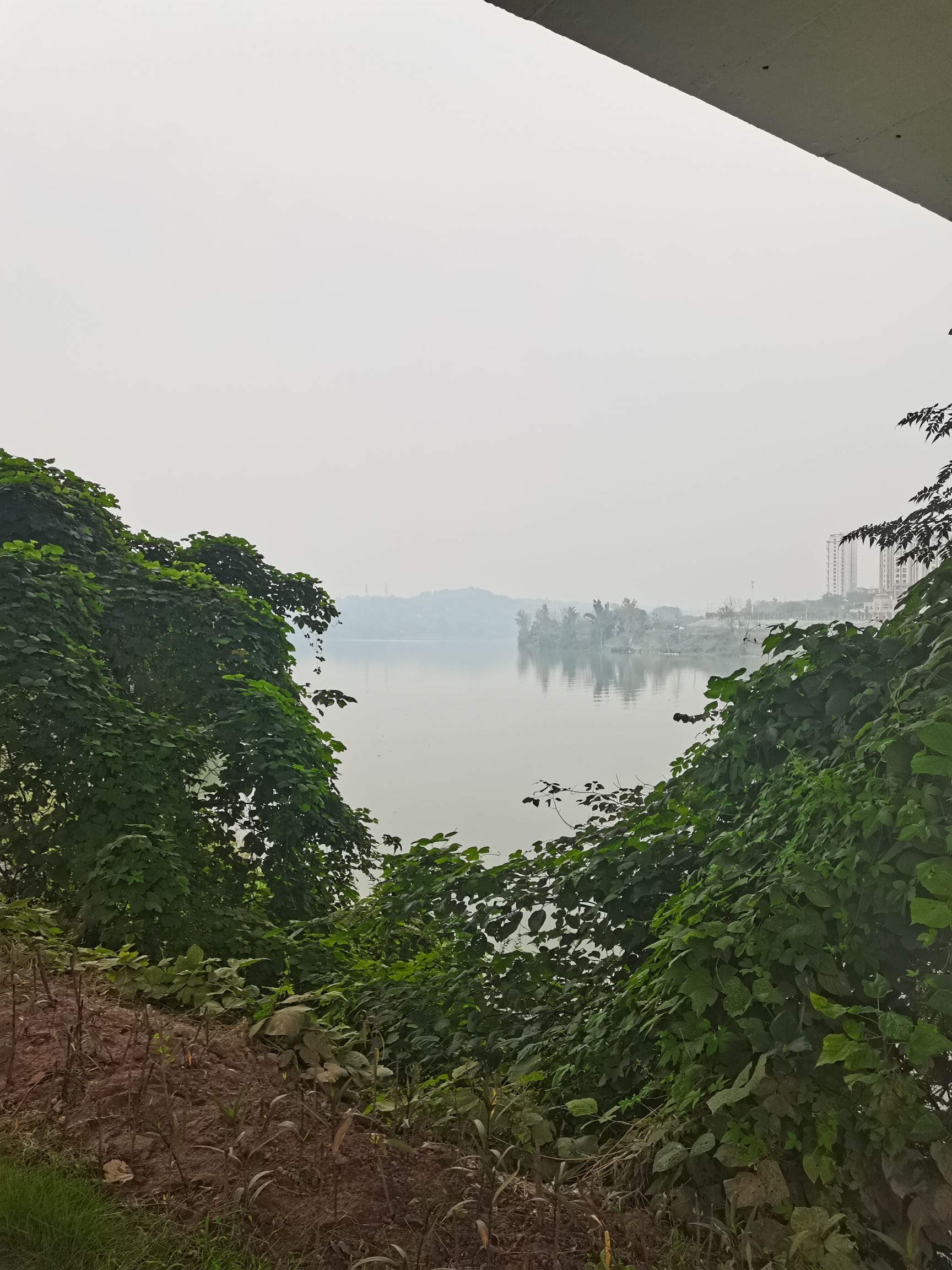 合川三江国家湿地公园旅行图片 2