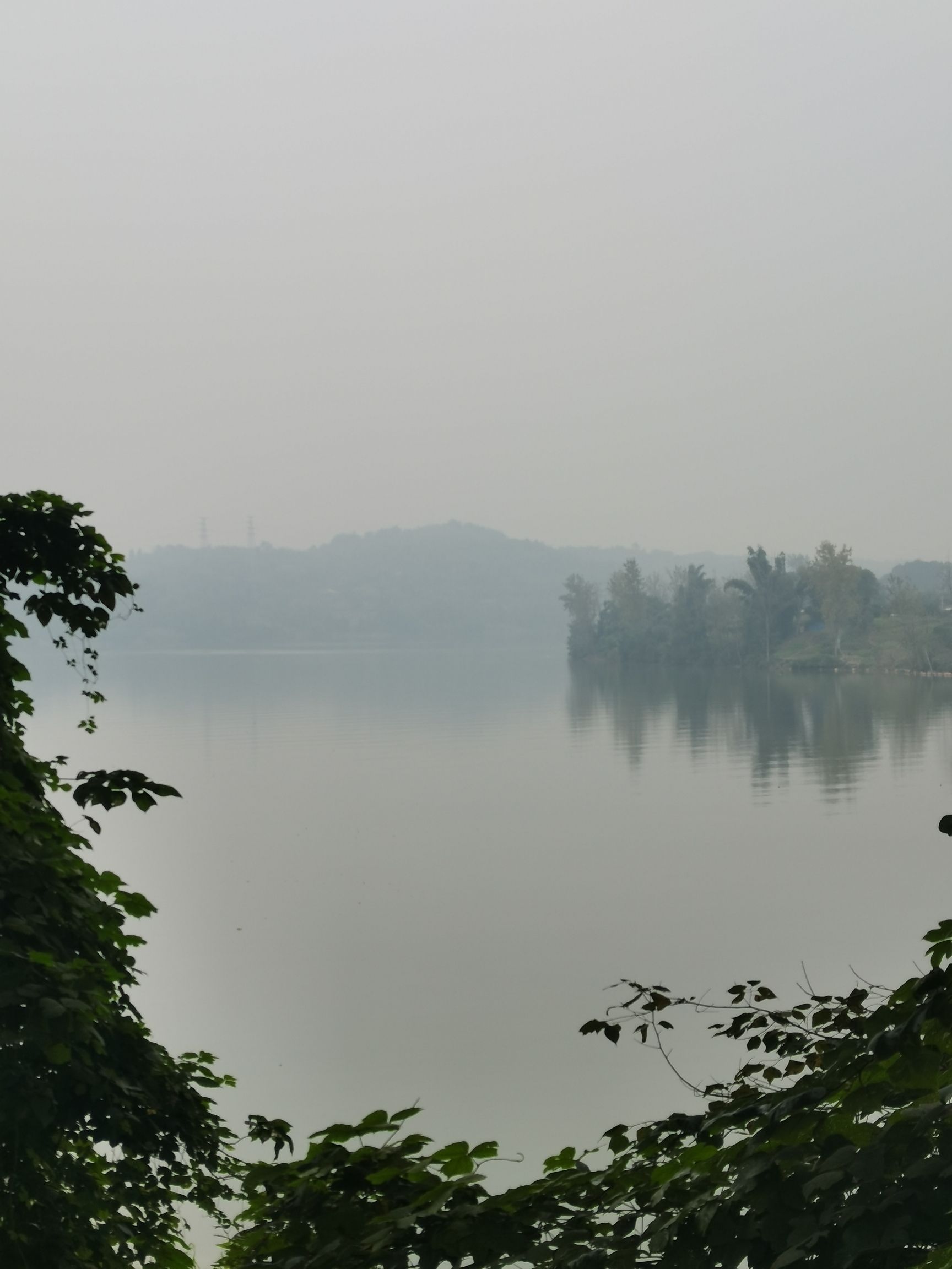 合川三江国家湿地公园旅行图片 1