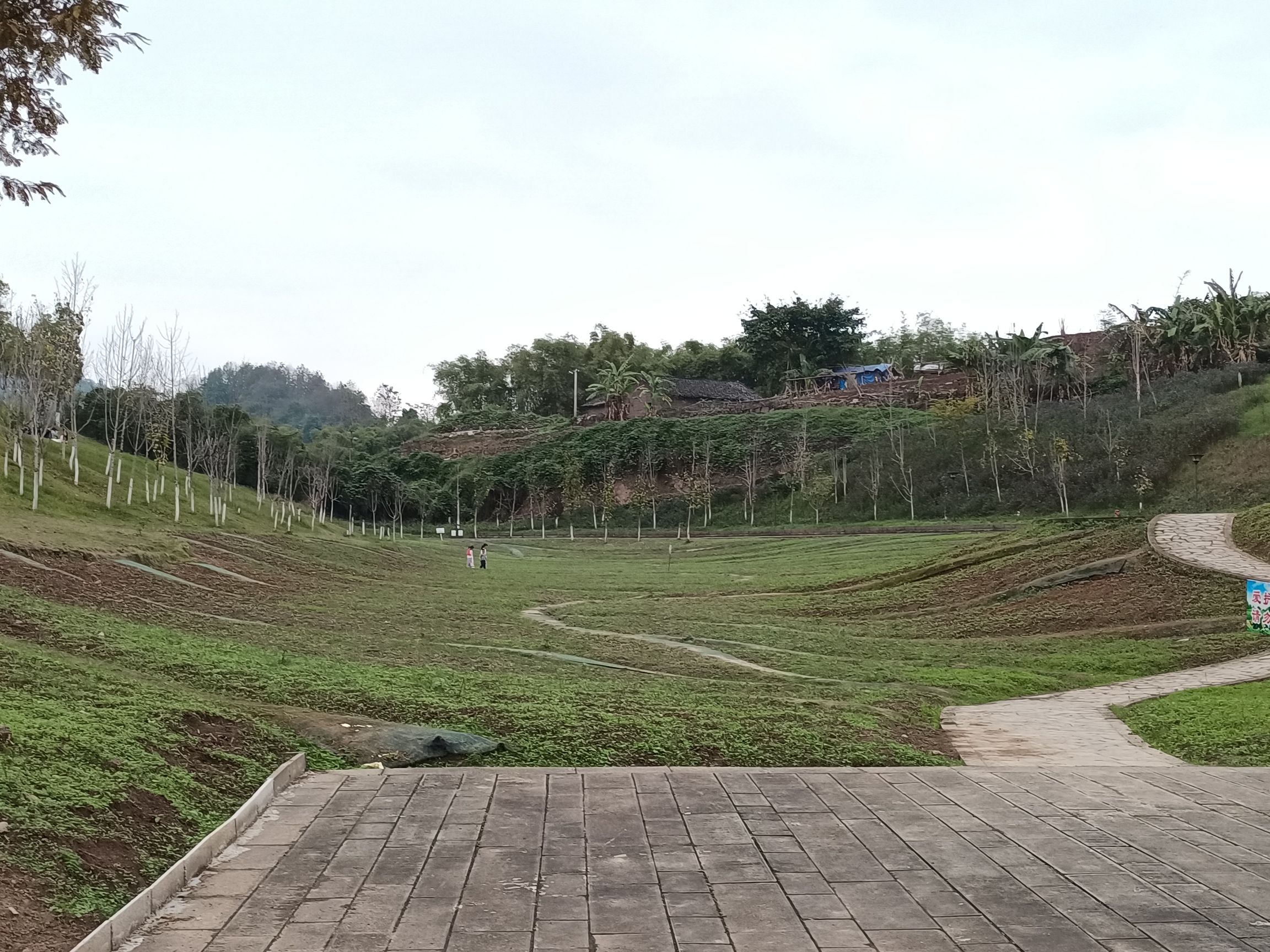 合川三江国家湿地公园旅行图片 1