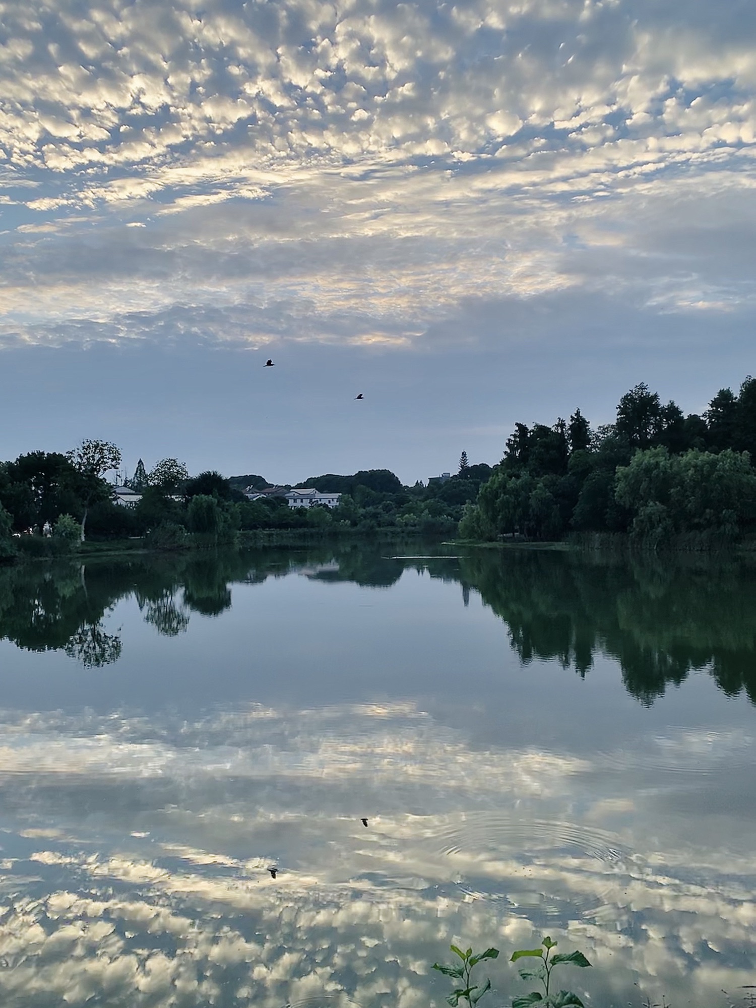 晓月桥旅行图片 2