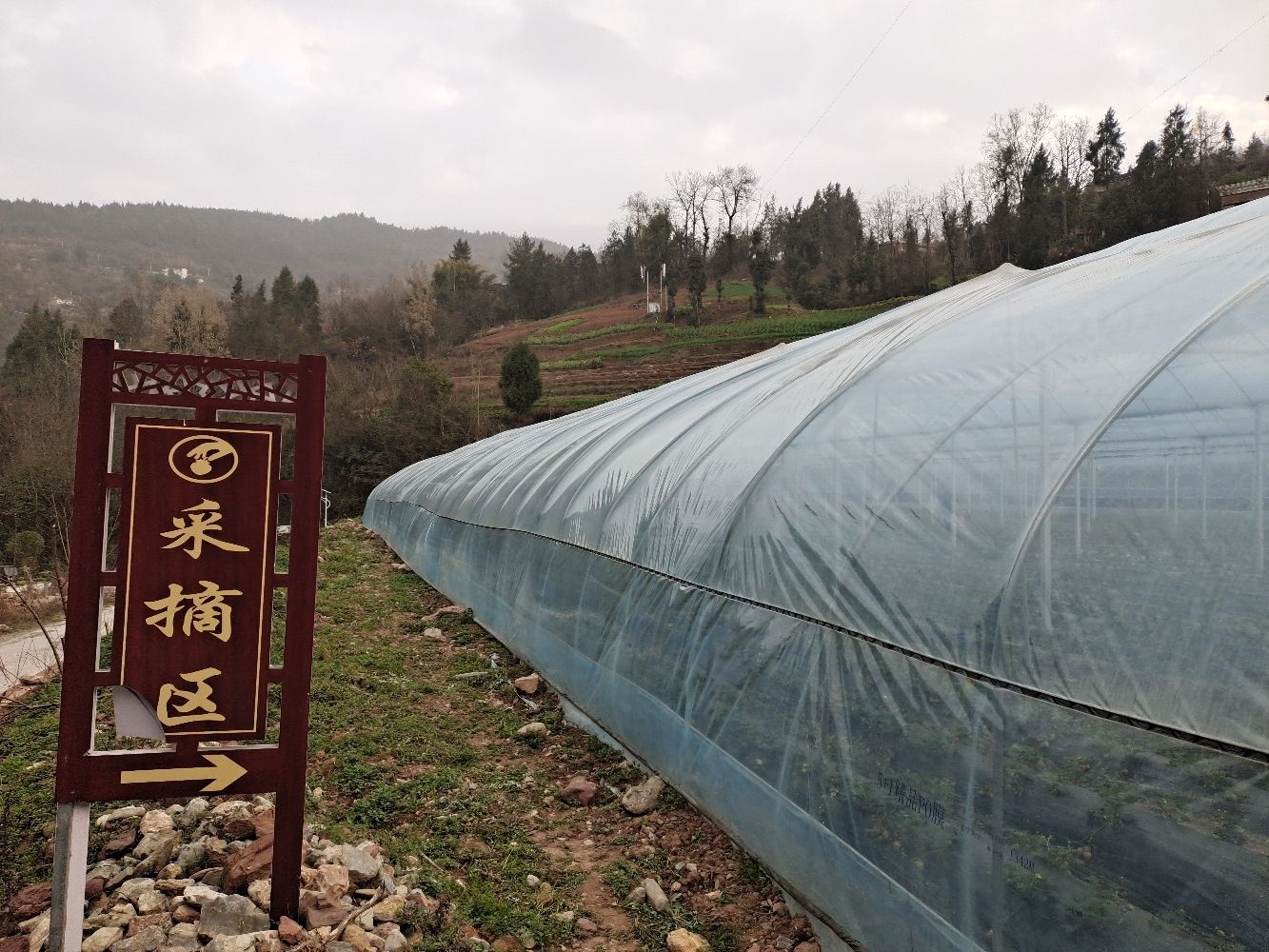新安花溪谷旅行图片 3