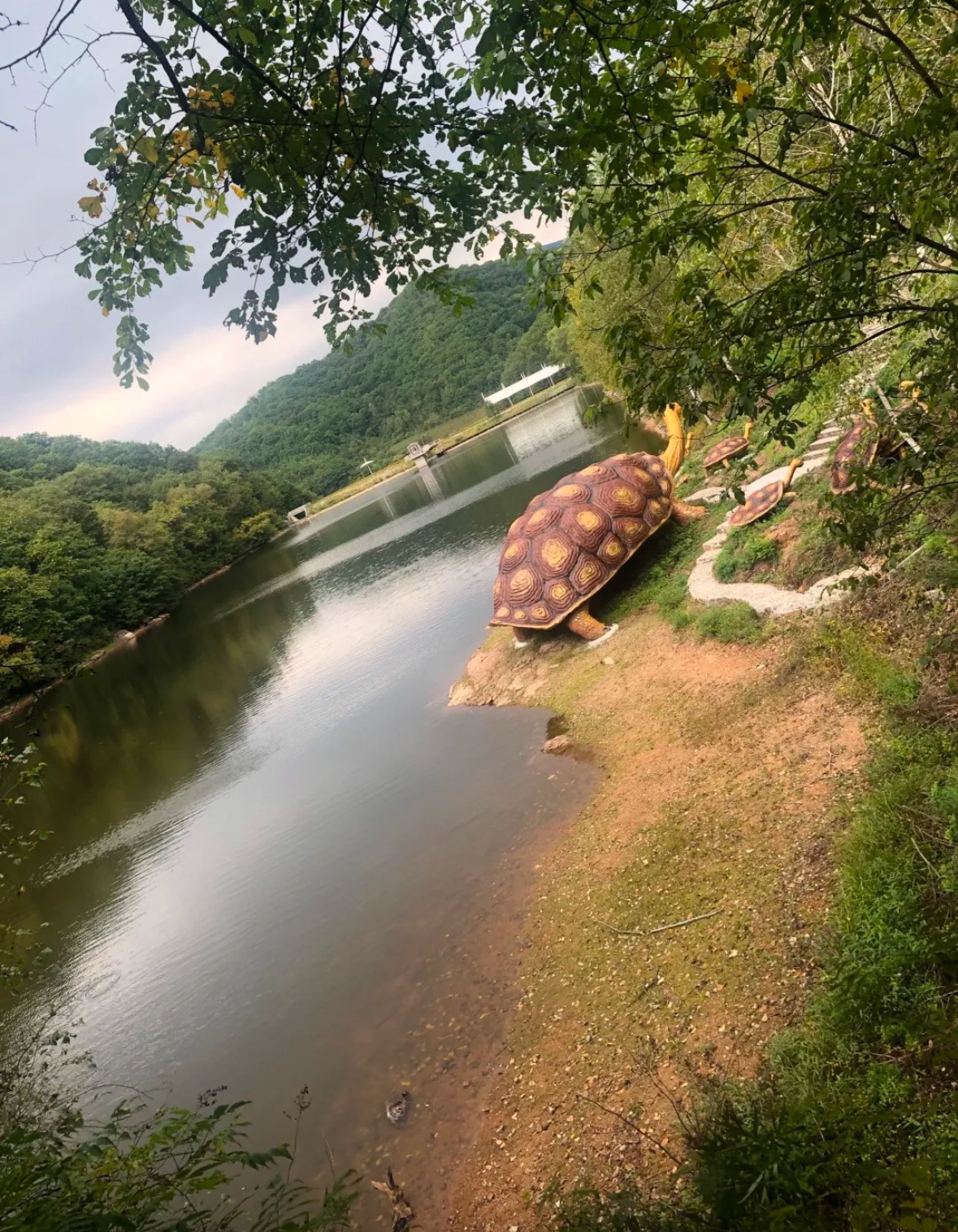 五家山森林公园旅行图片 2