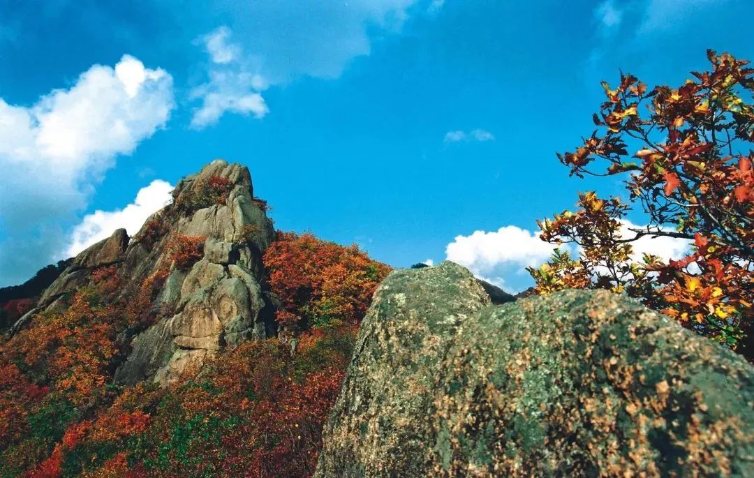 五家山森林公园