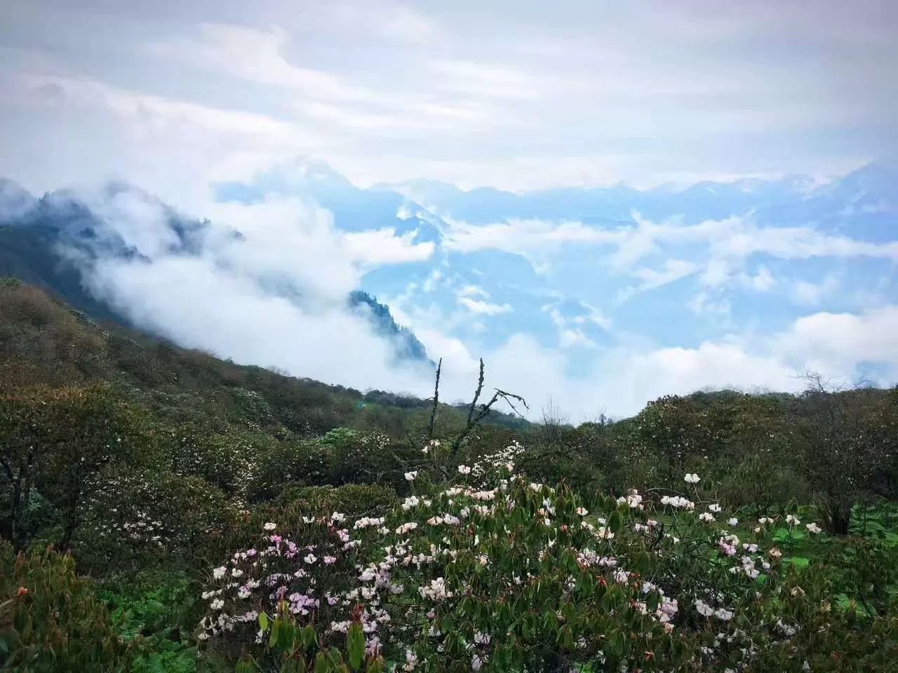 茱萸峰索道旅行图片 1