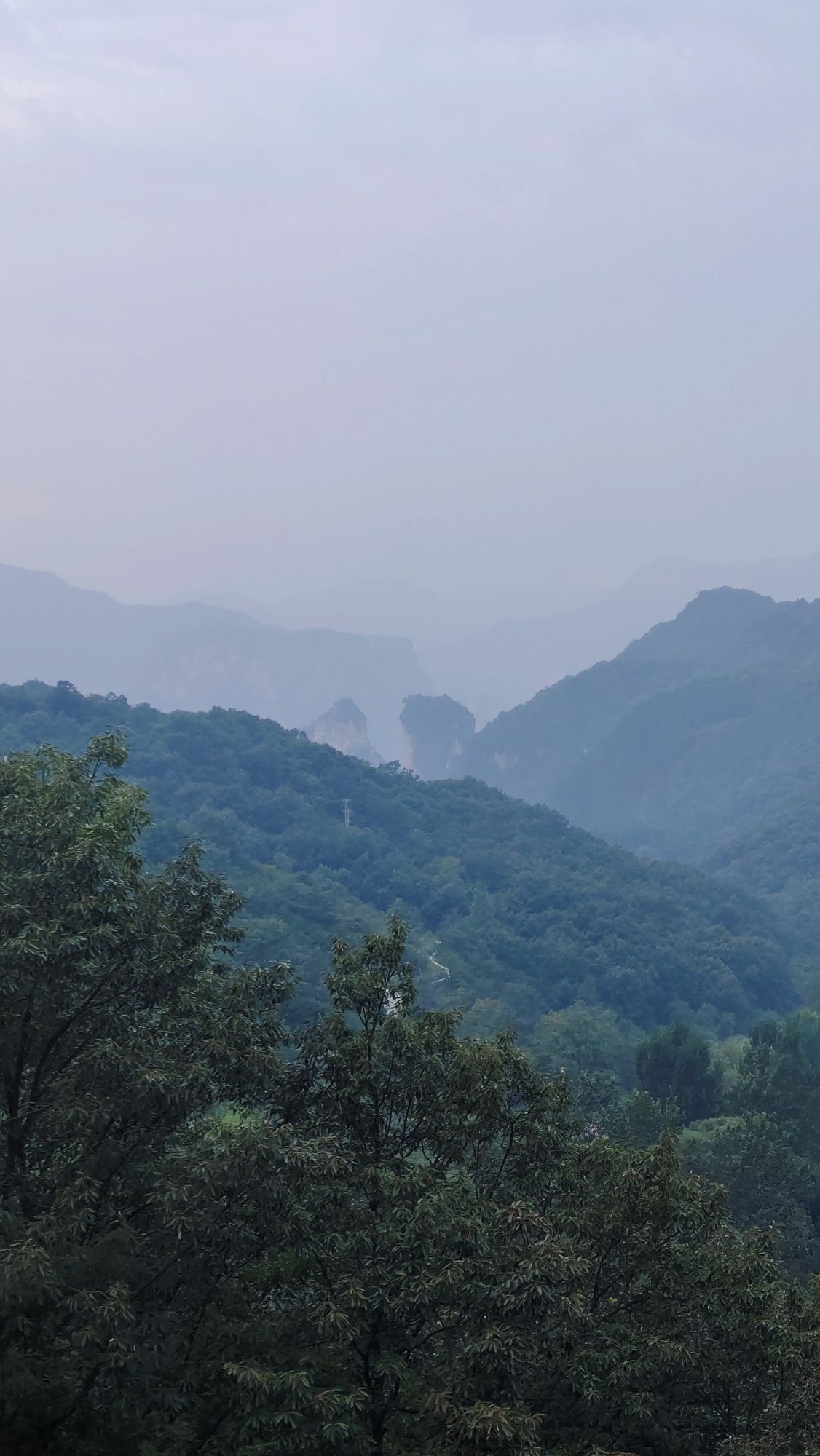 茱萸峰索道旅行图片 2