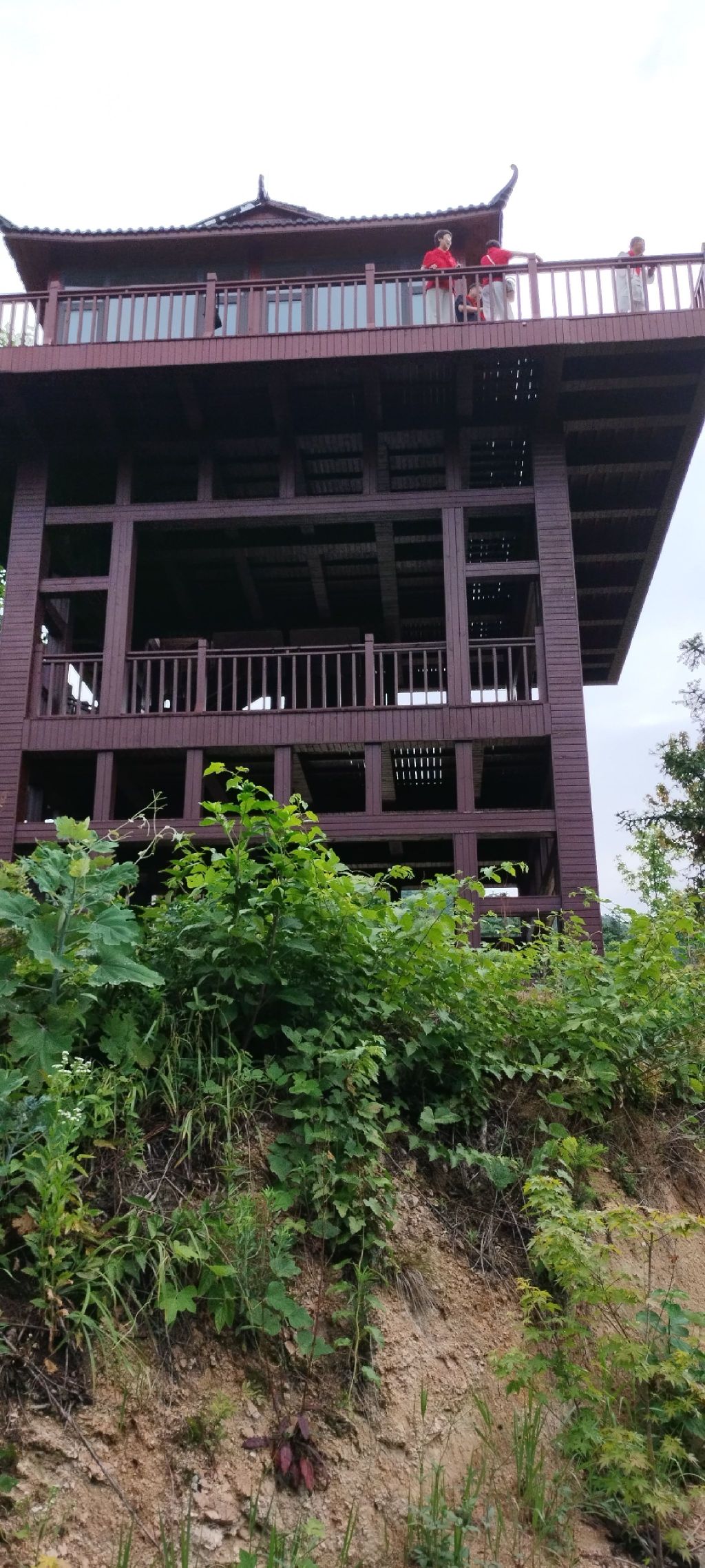 武胜关鸡公山林场瞭望台旅行图片 1