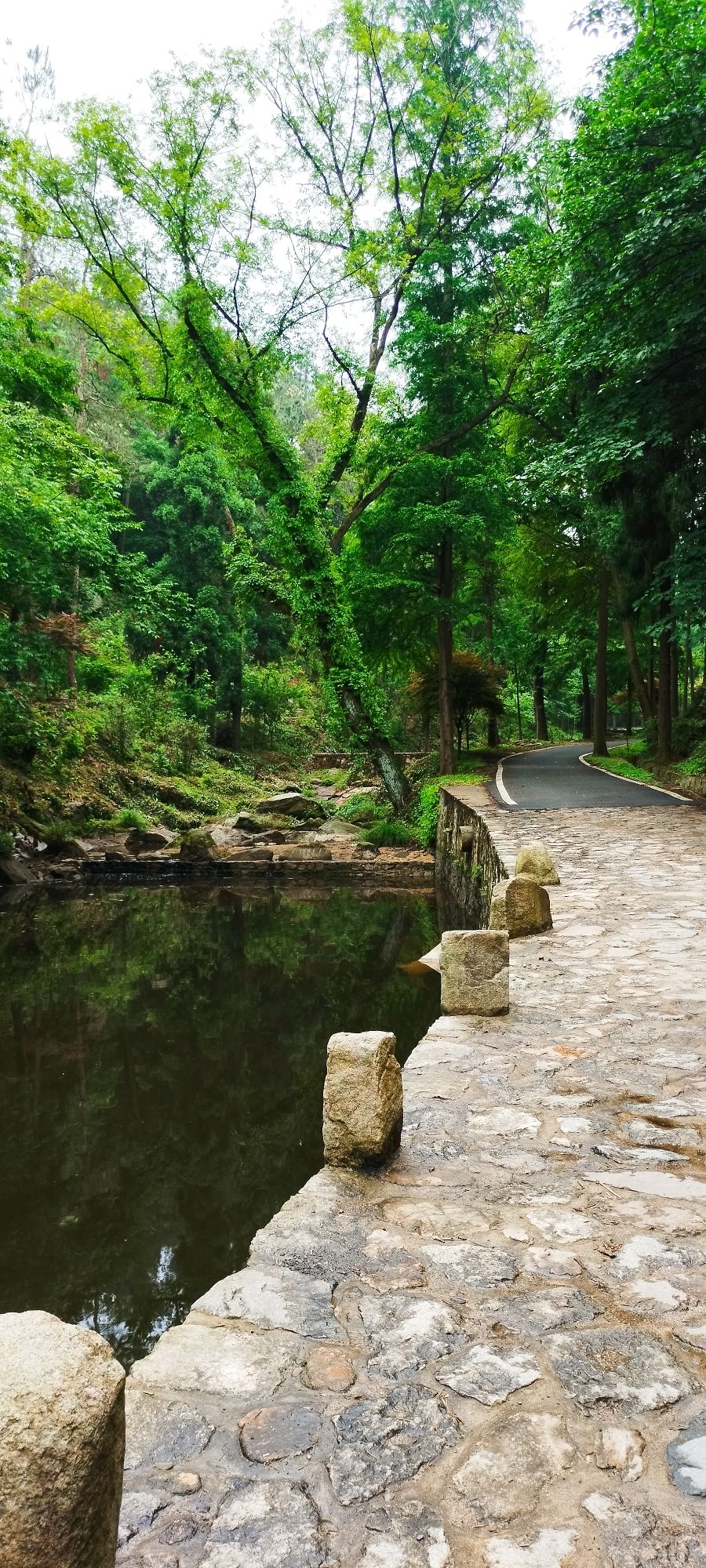 武胜关鸡公山林场瞭望台旅行图片 2