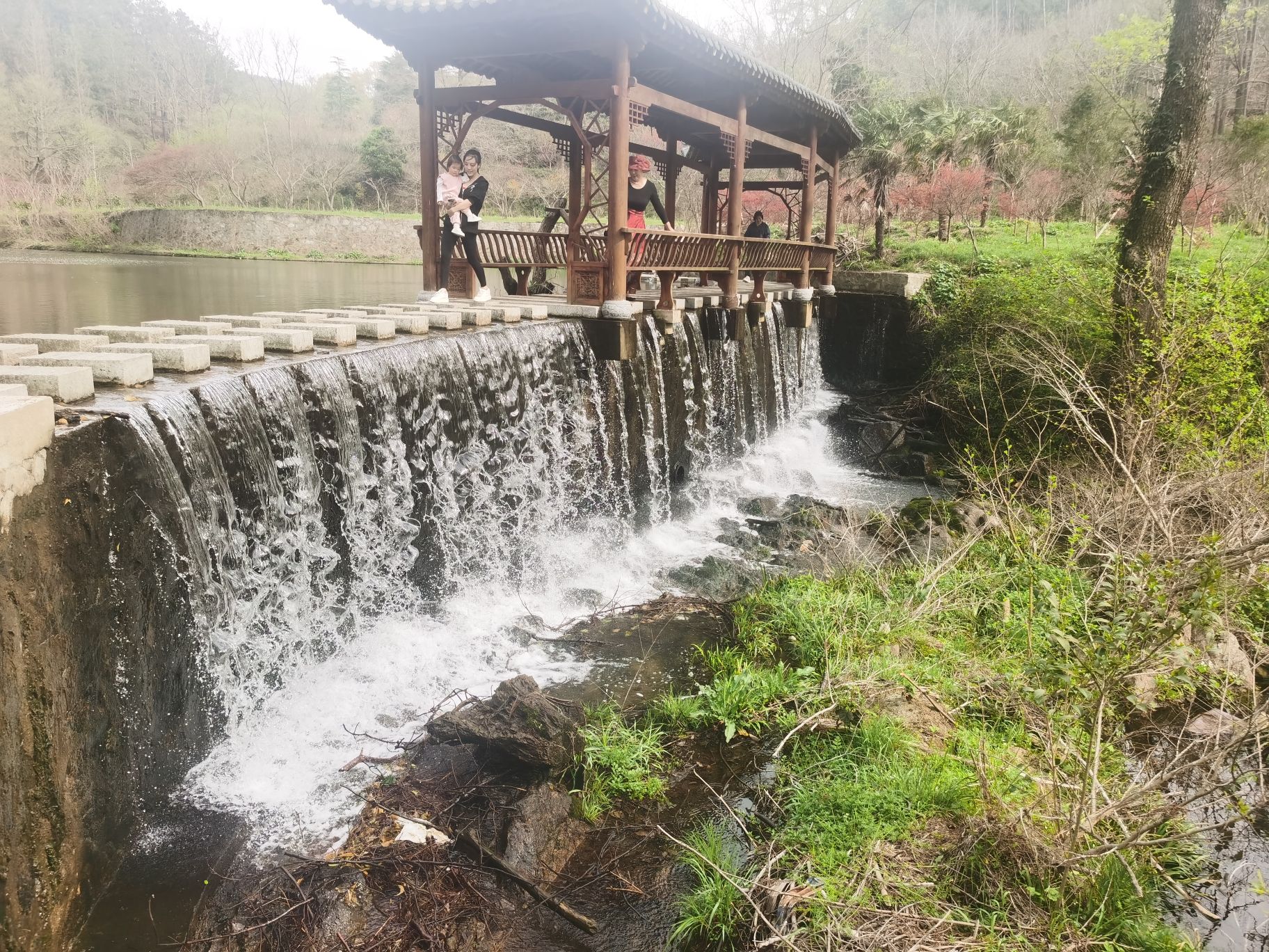 武胜关鸡公山林场瞭望台旅行图片 2