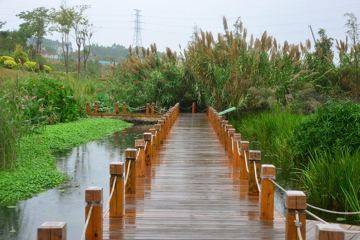 潭头河湿地公园旅行图片 1