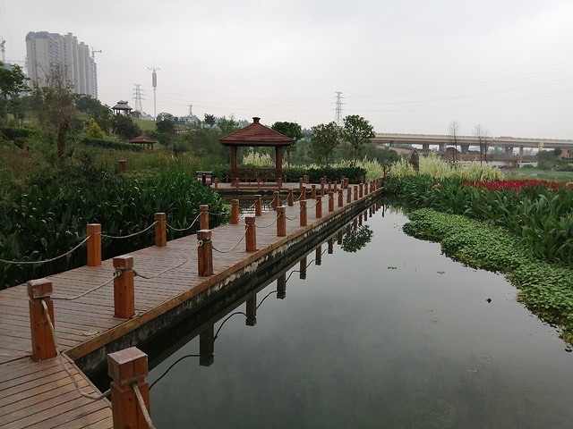 潭头河湿地公园旅行图片 3