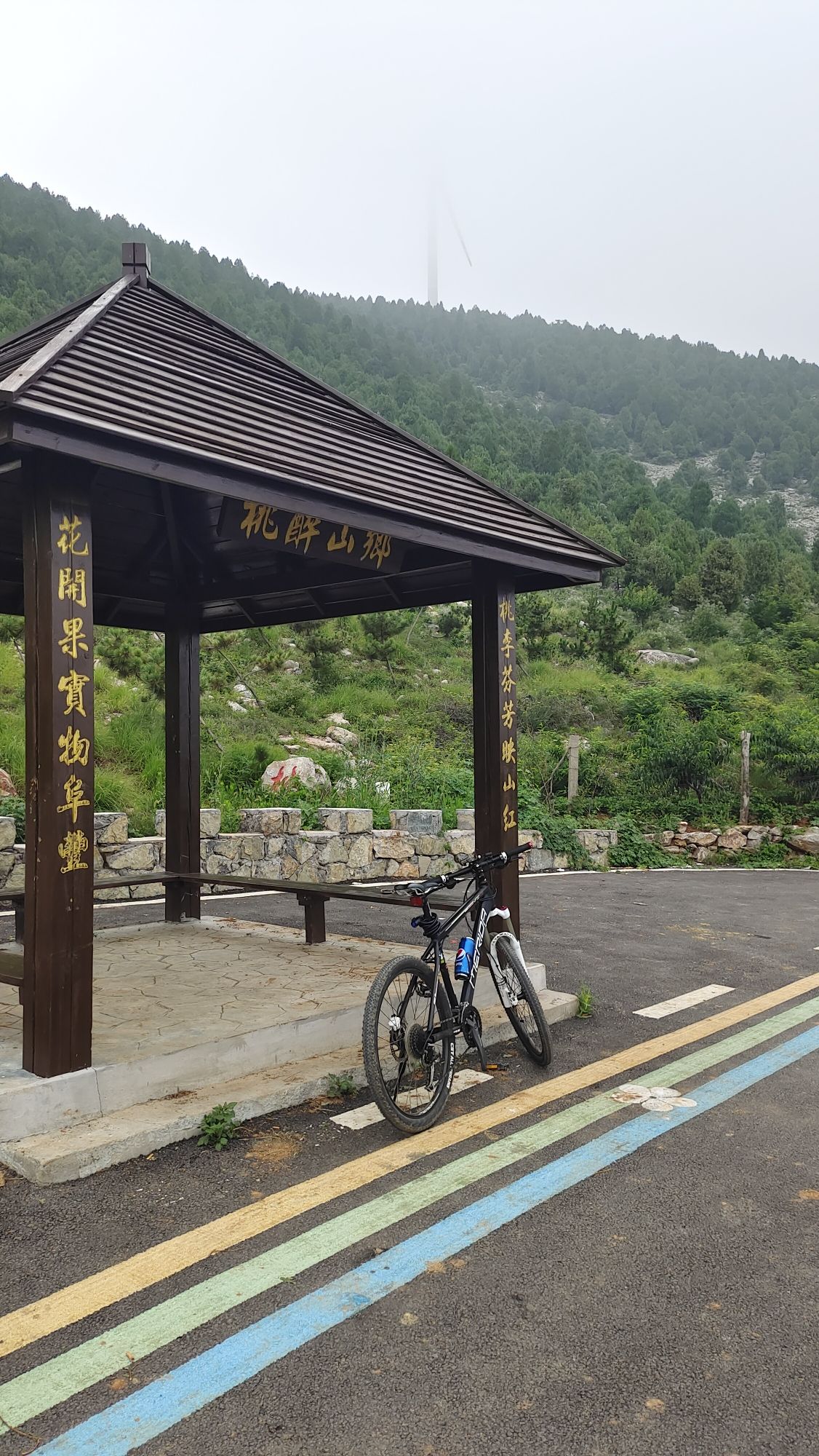 张山子镇张庄村万亩桃花峪旅行图片 1