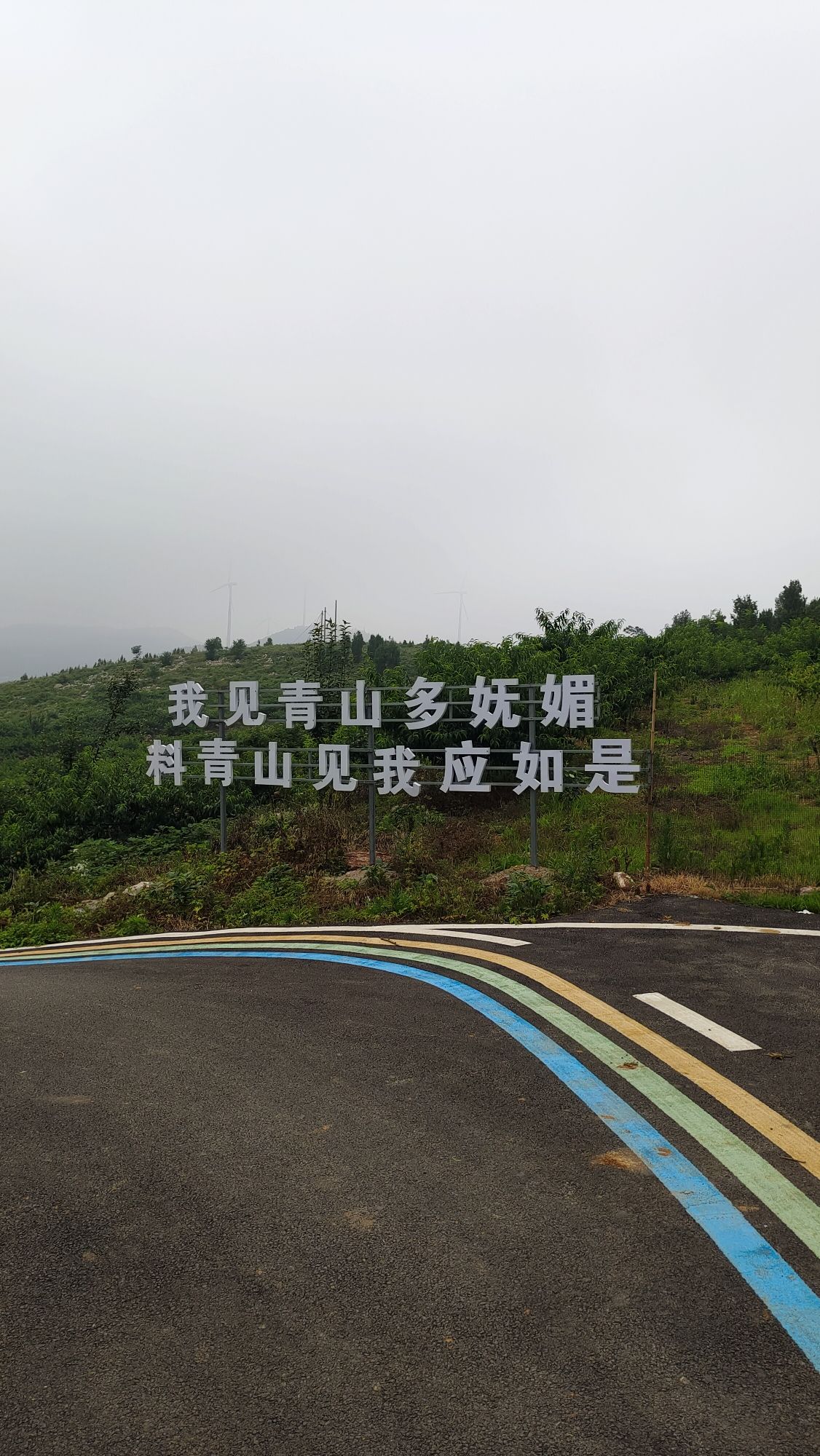 张山子镇张庄村万亩桃花峪旅行图片 2