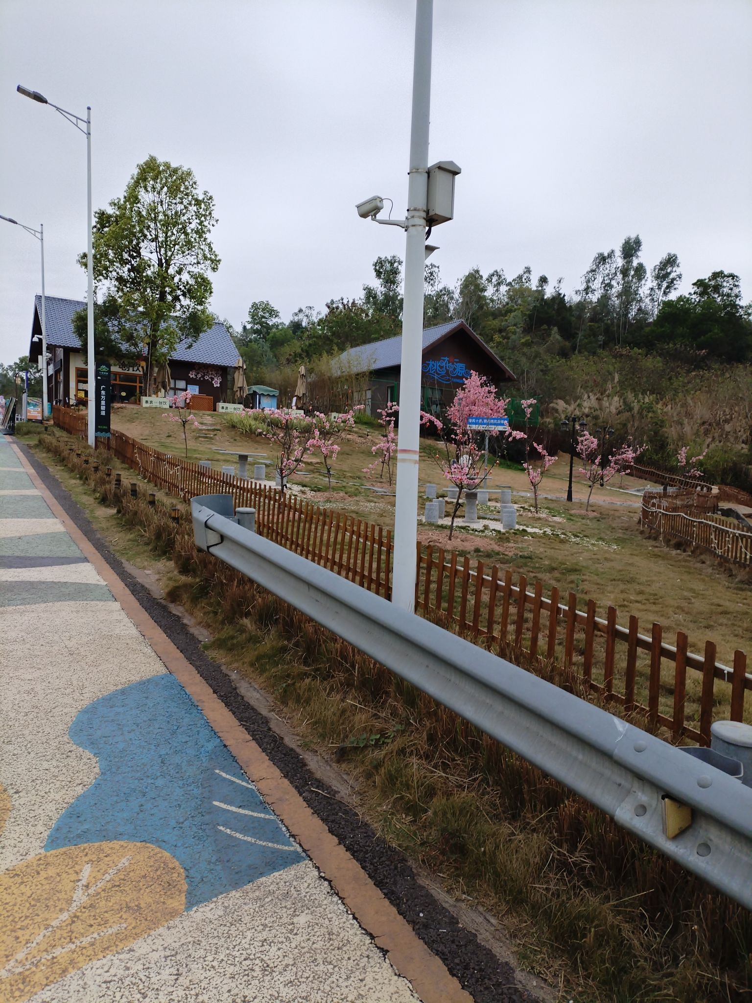 桃花源景区旅行图片 3